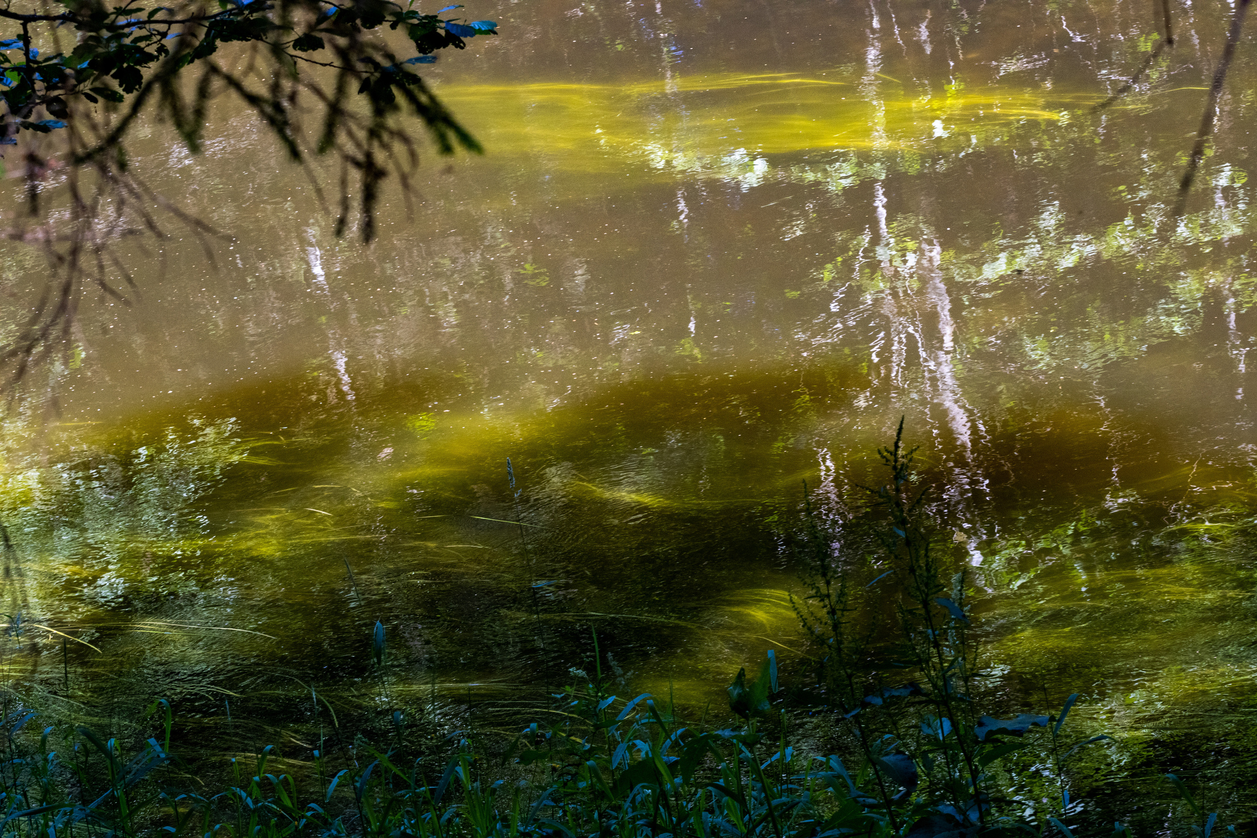 Peipsi järv (Taevaskoja). Nebula 25 — Fotod teie hingele