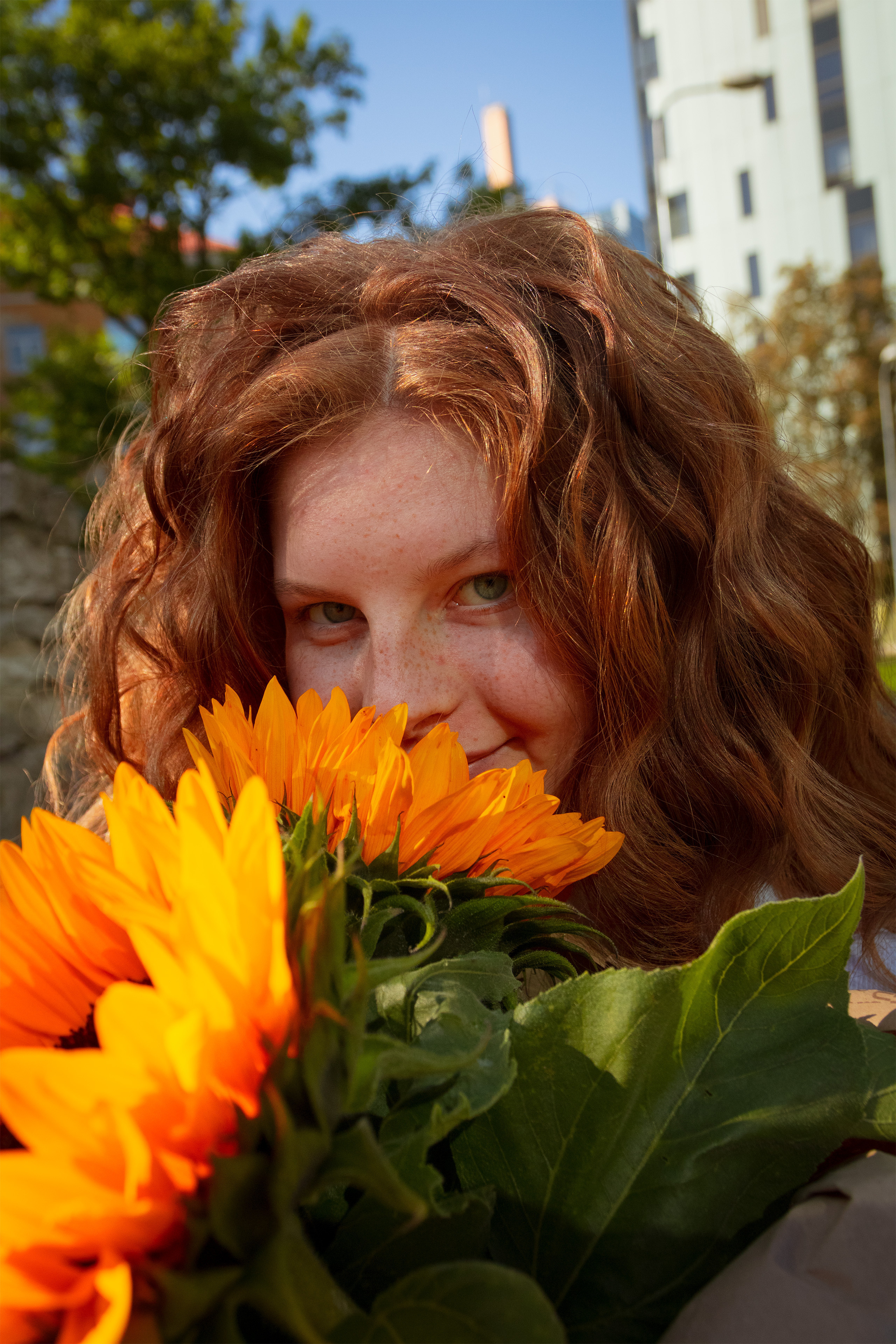 Päevalilled (Nika A.). Nebula 25 — Fotod teie hingele