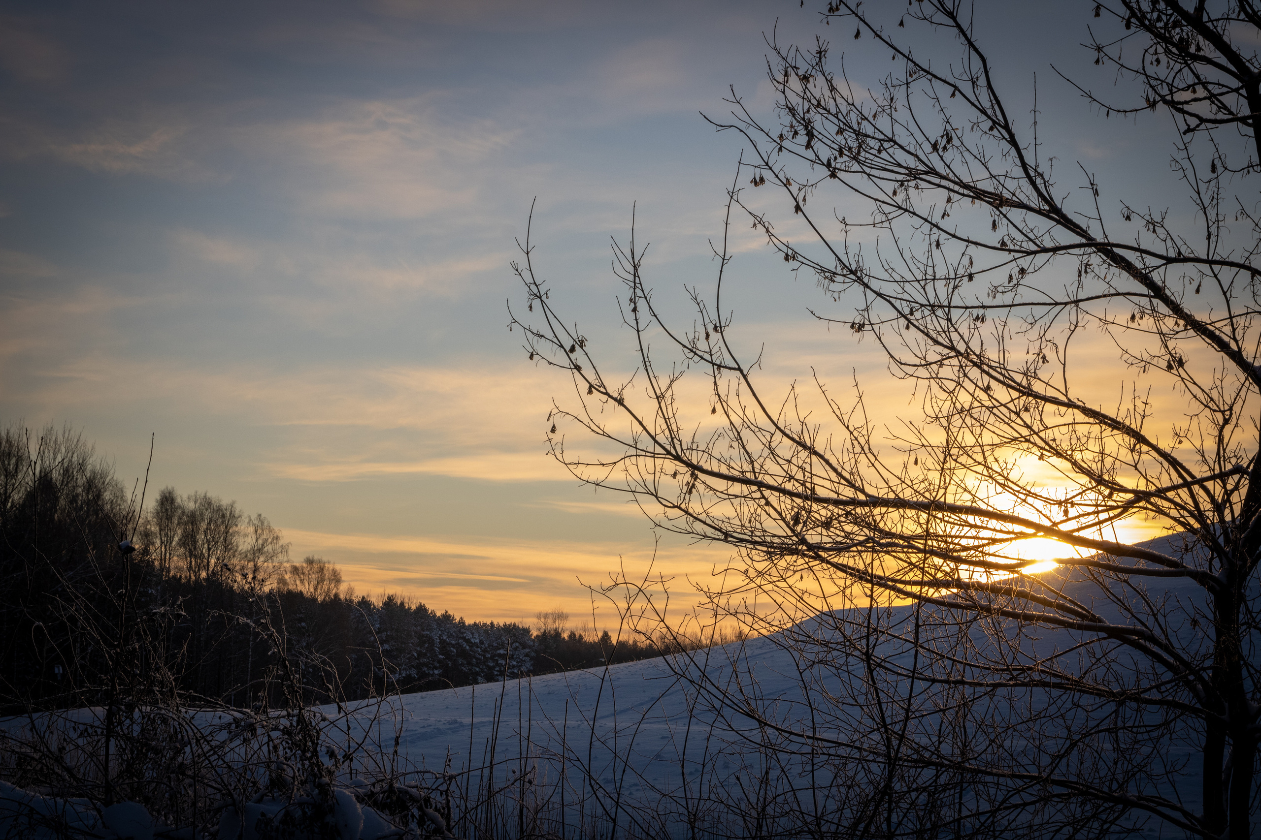 Talvine mets (2021 a.). Nebula 25 — Fotod teie hingele