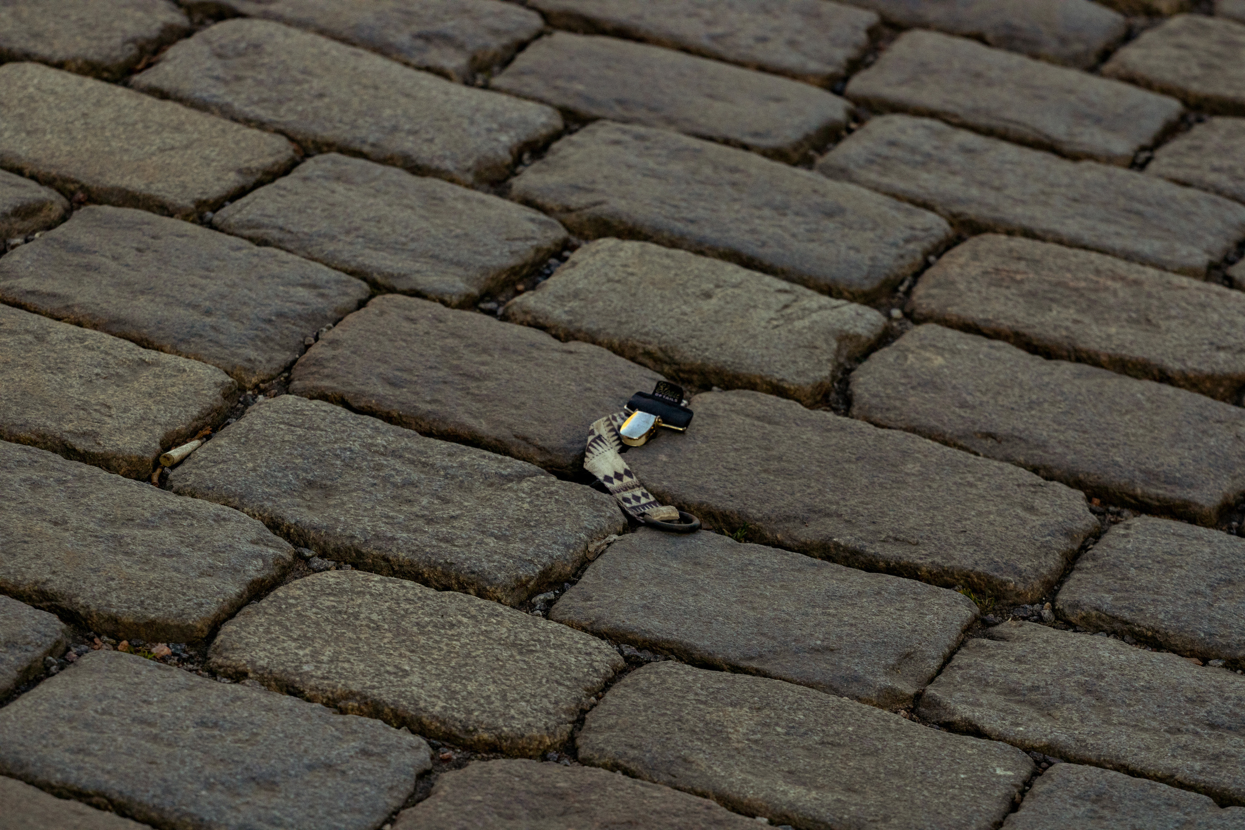 Rootsi reis. Nebula 25 — Fotod teie hingele