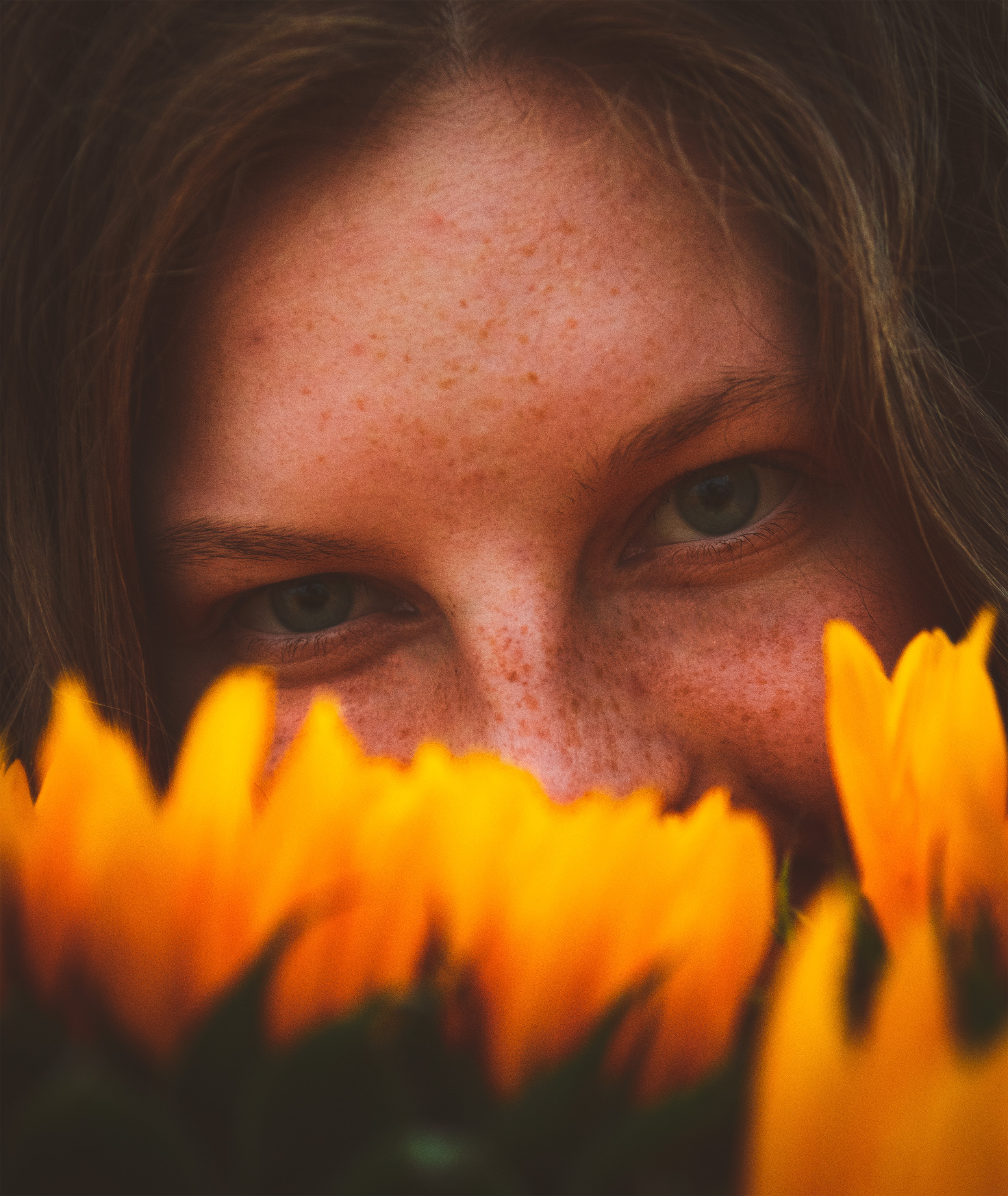 Päevalilled (Nika A.). Nebula 25 — Fotod teie hingele