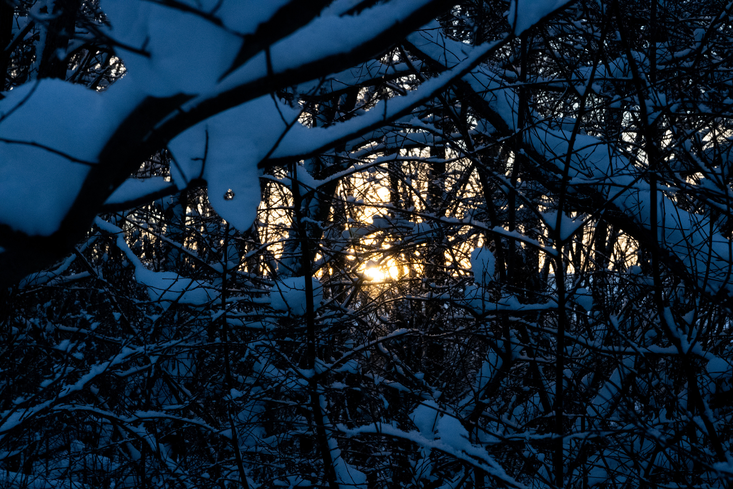 Talvine mets (2021 a.). Nebula 25 — Fotod teie hingele