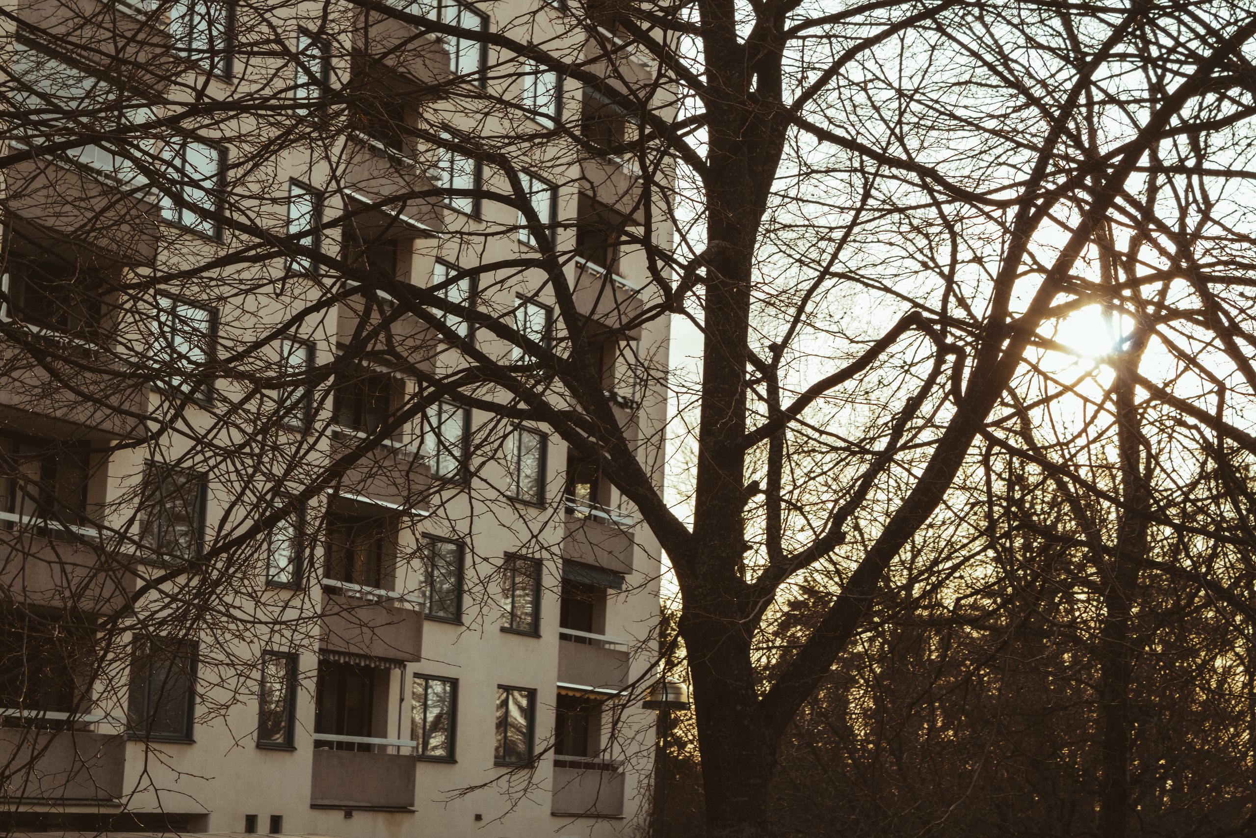 Rootsi reis. Nebula 25 — Fotod teie hingele