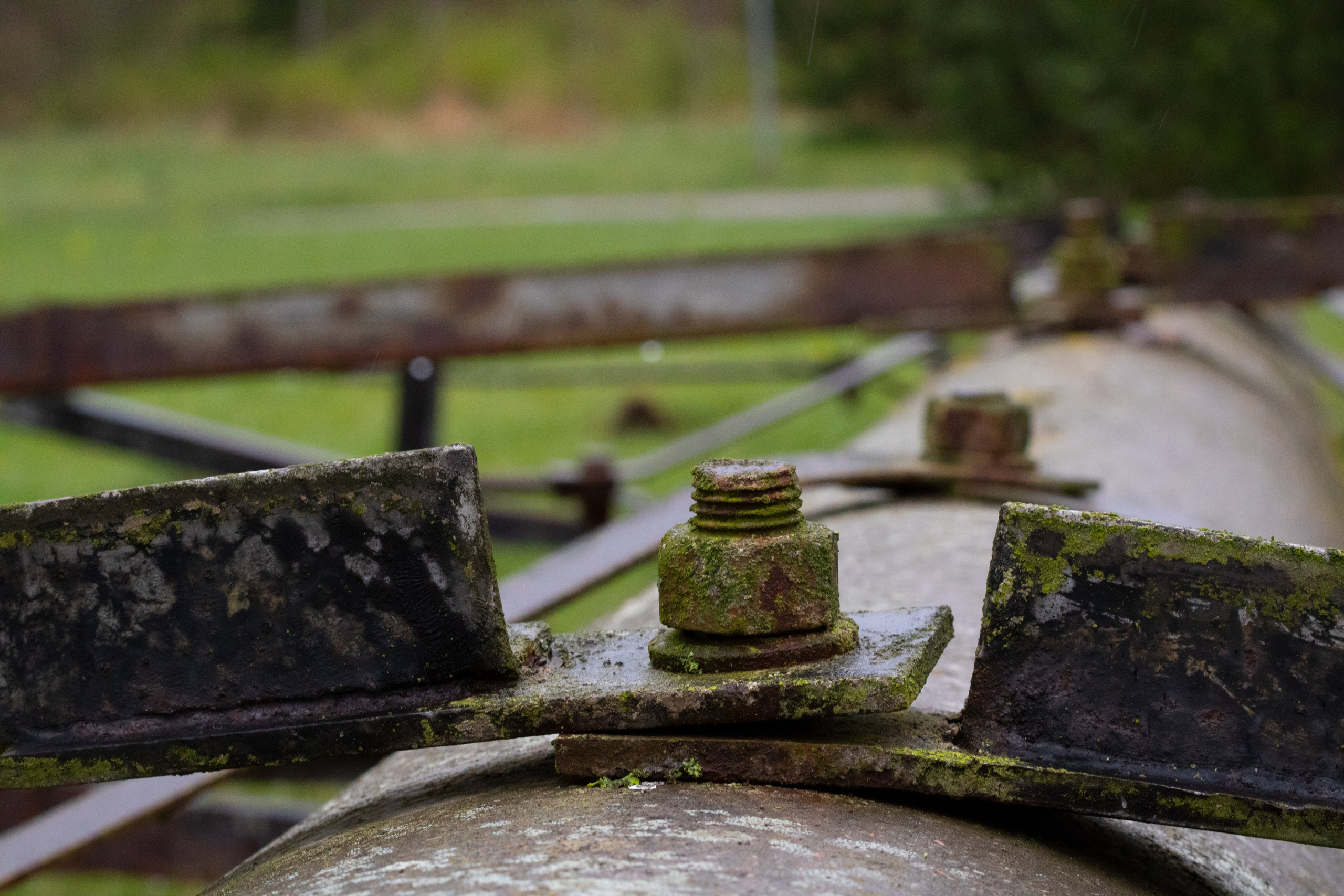 Möldre tee. Nebula 25 — Fotod teie hingele