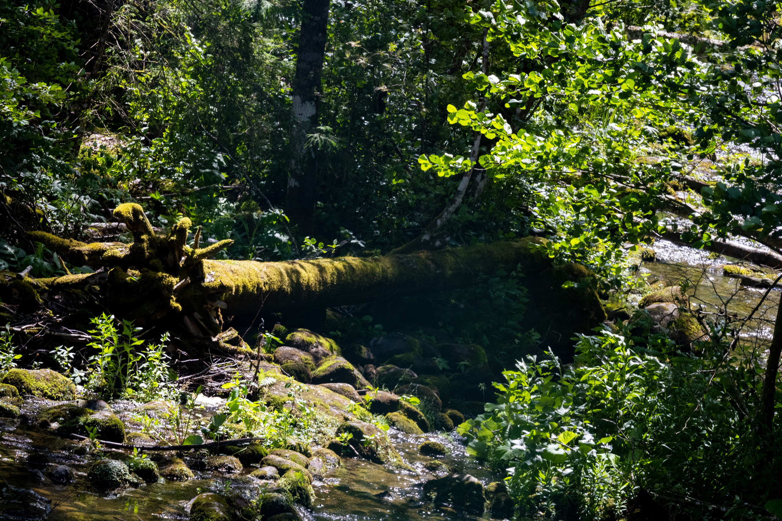 Peipsi järv (Taevaskoja). Nebula 25 — Fotod teie hingele