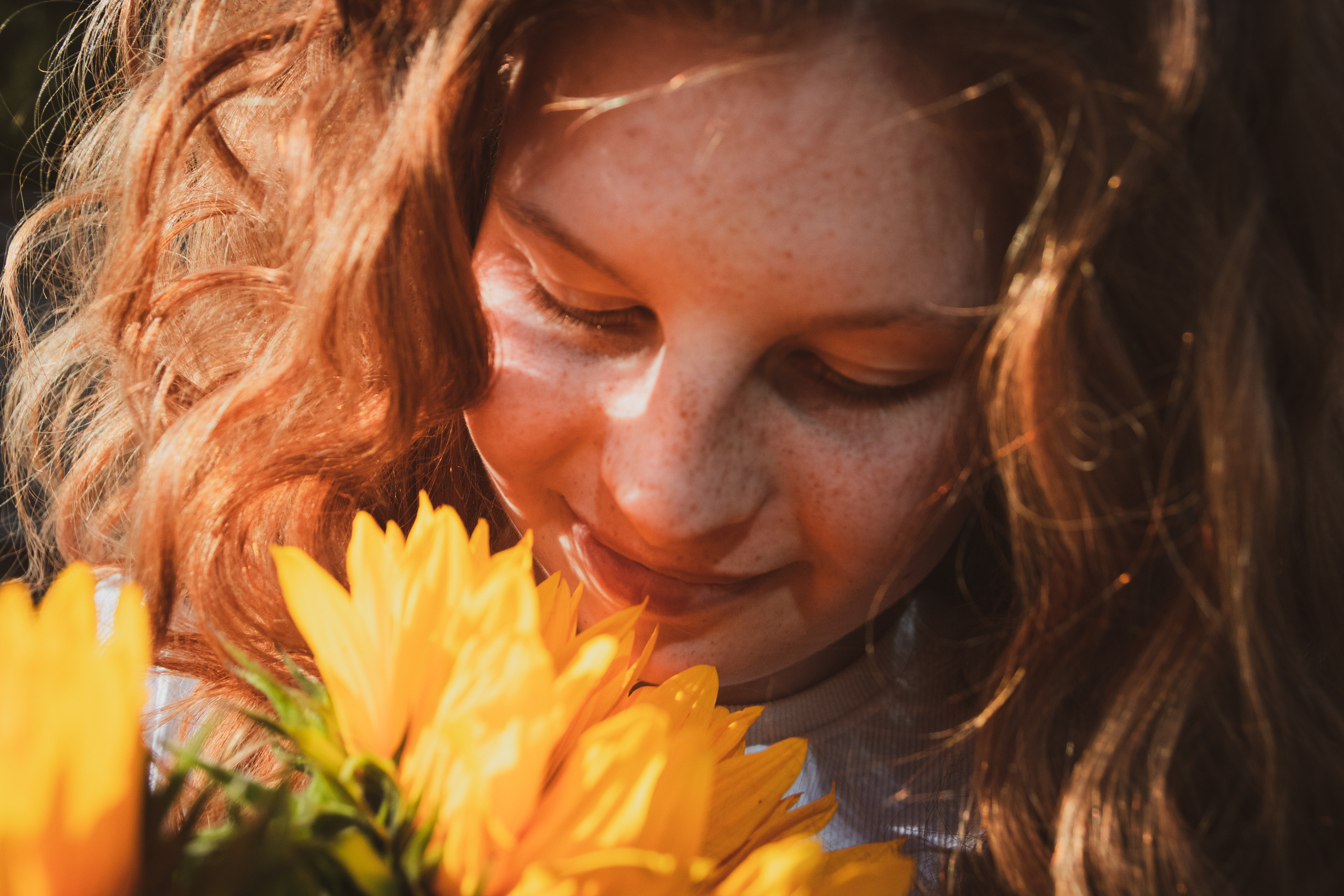 Päevalilled (Nika A.). Nebula 25 — Fotod teie hingele