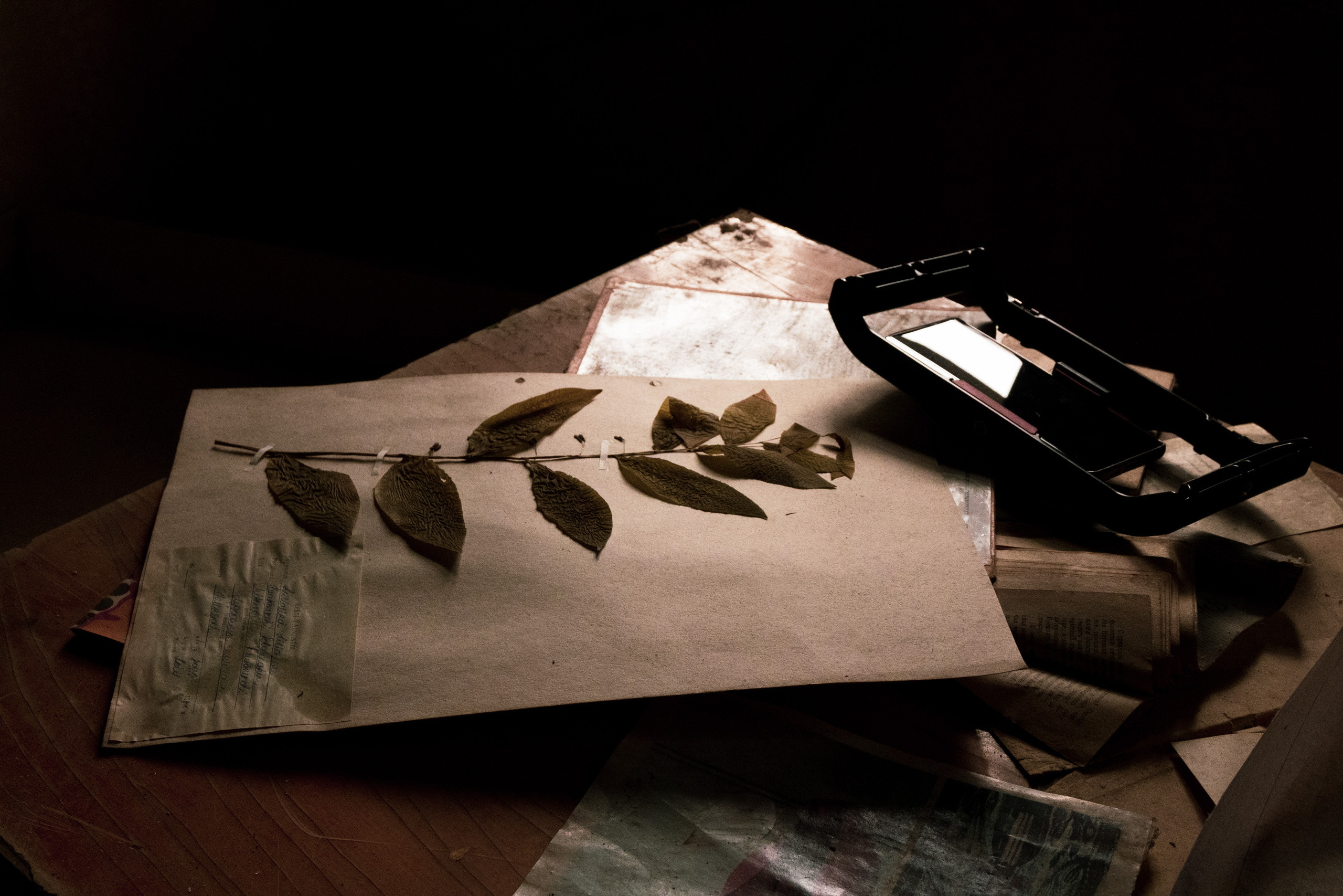 Rabasaare Kummituslinn (Vadim ja Nika A.). Nebula 25 — Fotod teie hingele