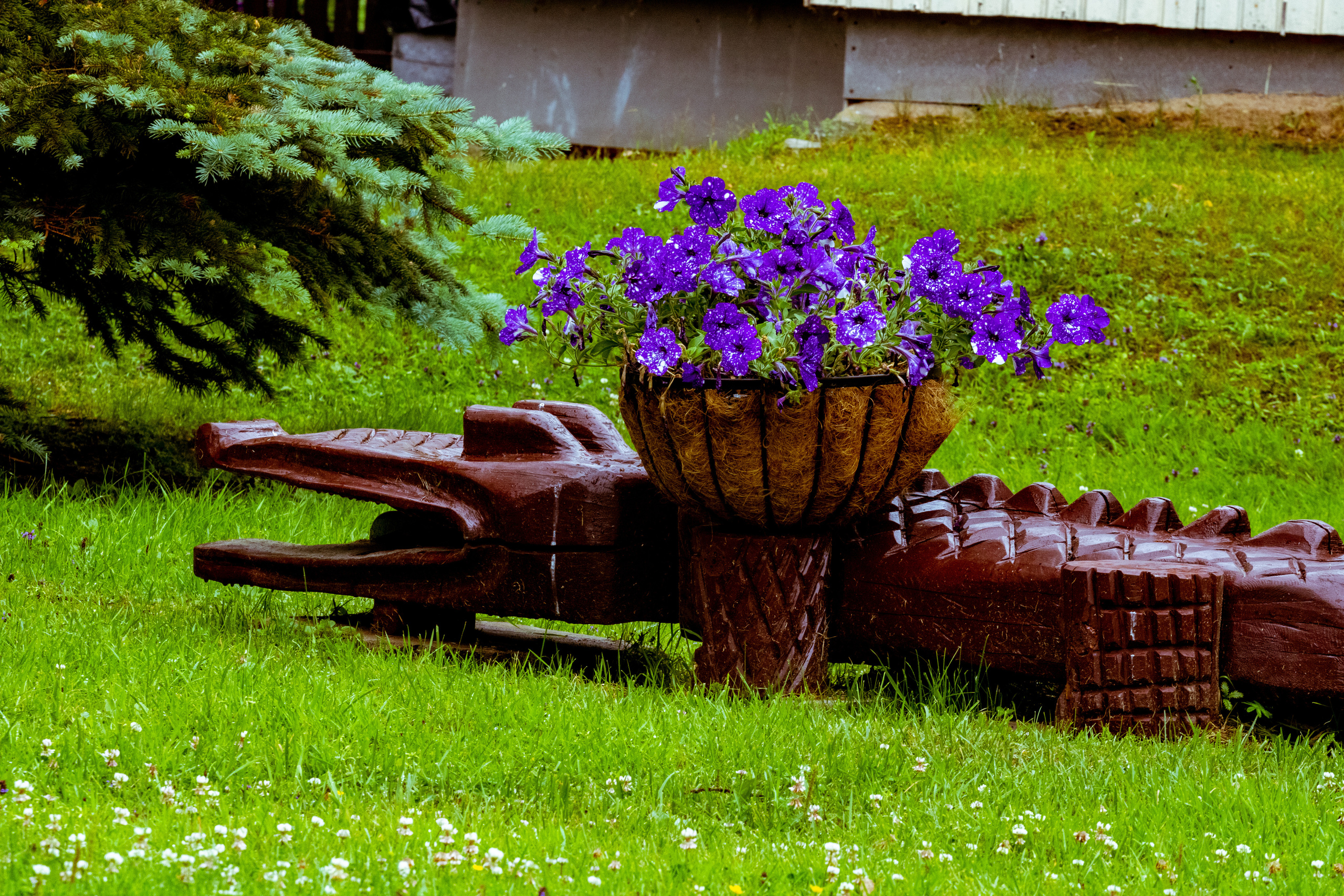 Peipsi järv (lilled). Nebula 25 — Fotod teie hingele