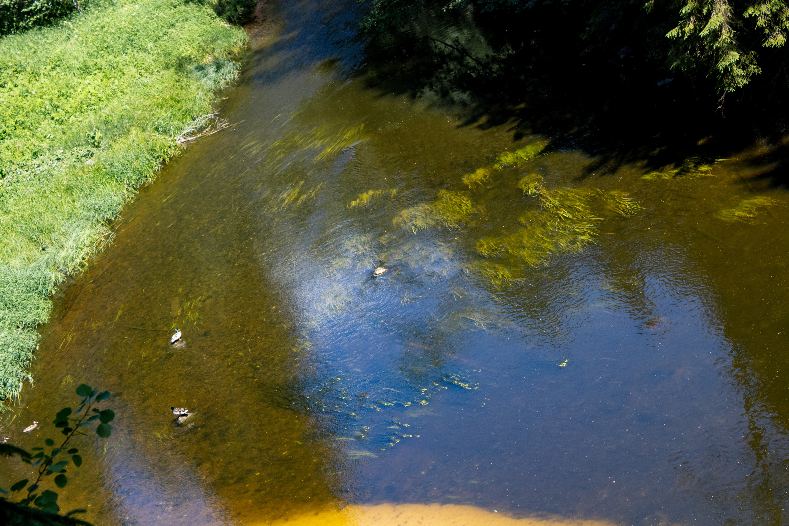 Peipsi järv (Taevaskoja). Nebula 25 — Fotod teie hingele