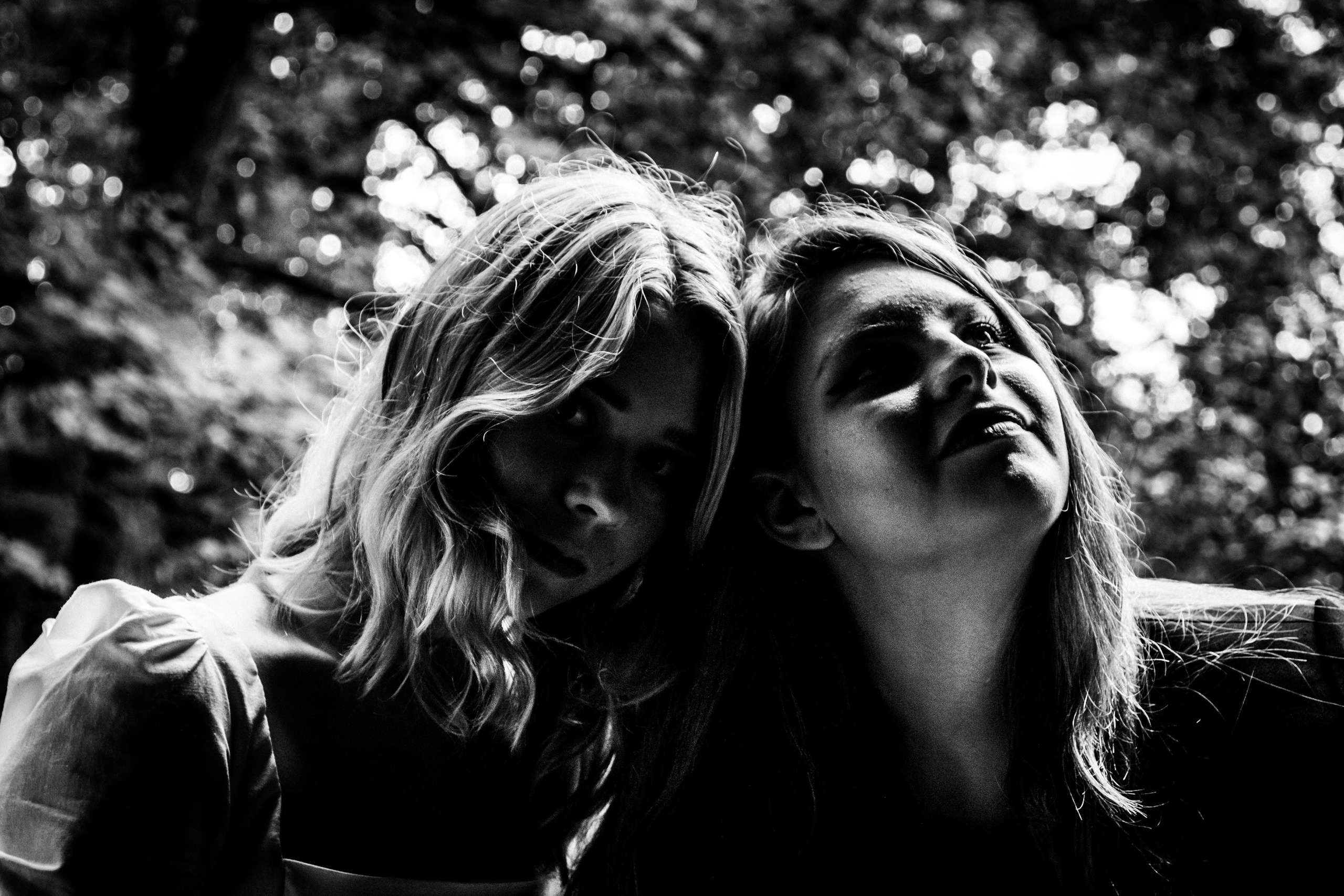 „Måneskin“ (sõpruskond). Nebula 25 — Fotod teie hingele