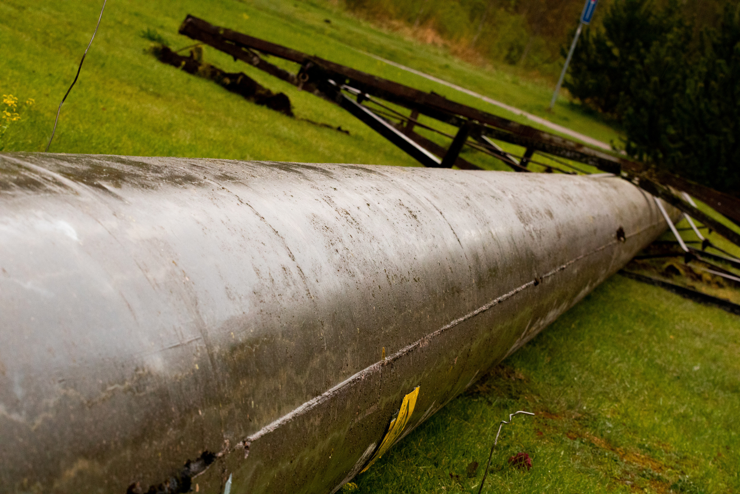 Möldre tee. Nebula 25 — Fotod teie hingele