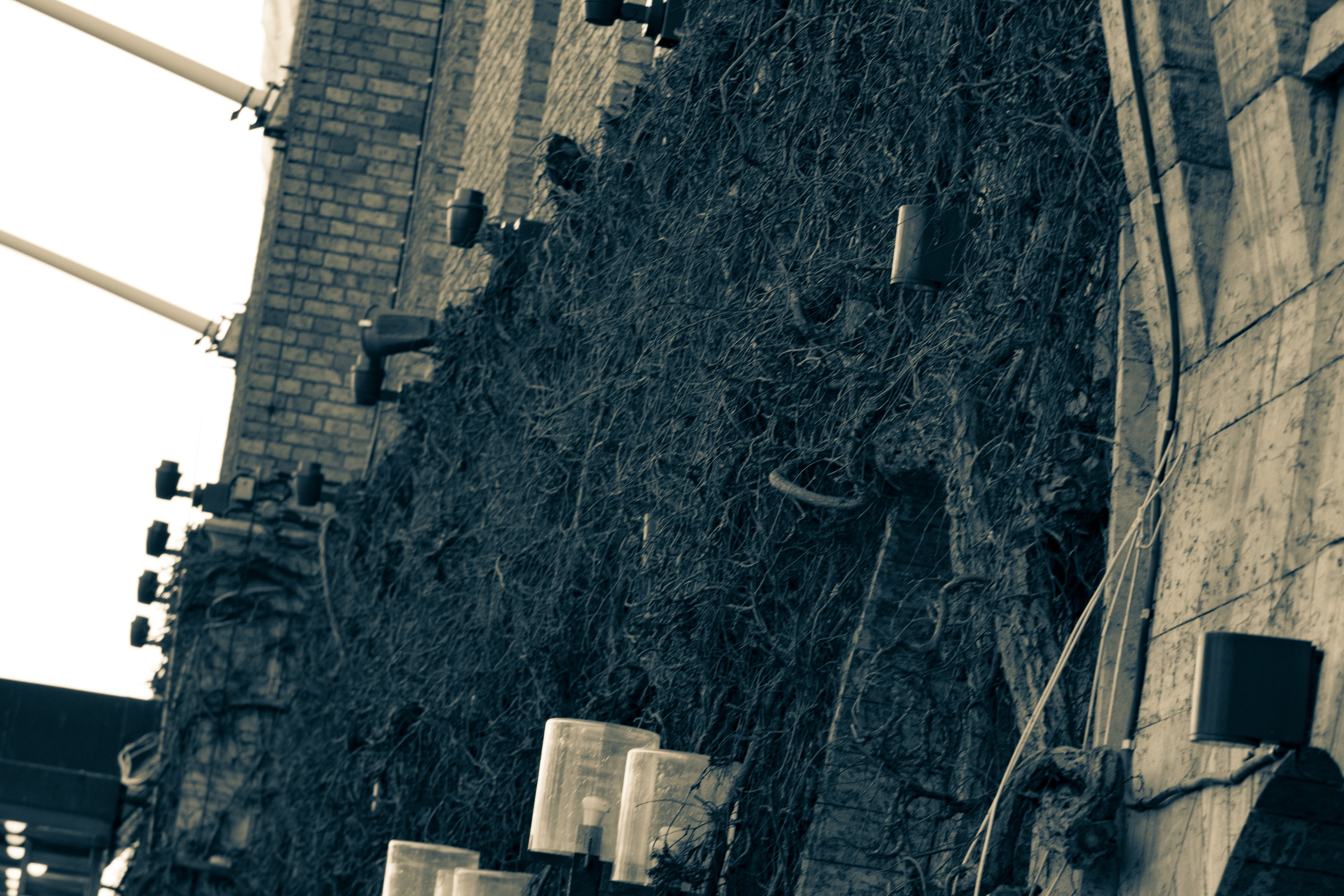 Rootsi reis. Nebula 25 — Fotod teie hingele