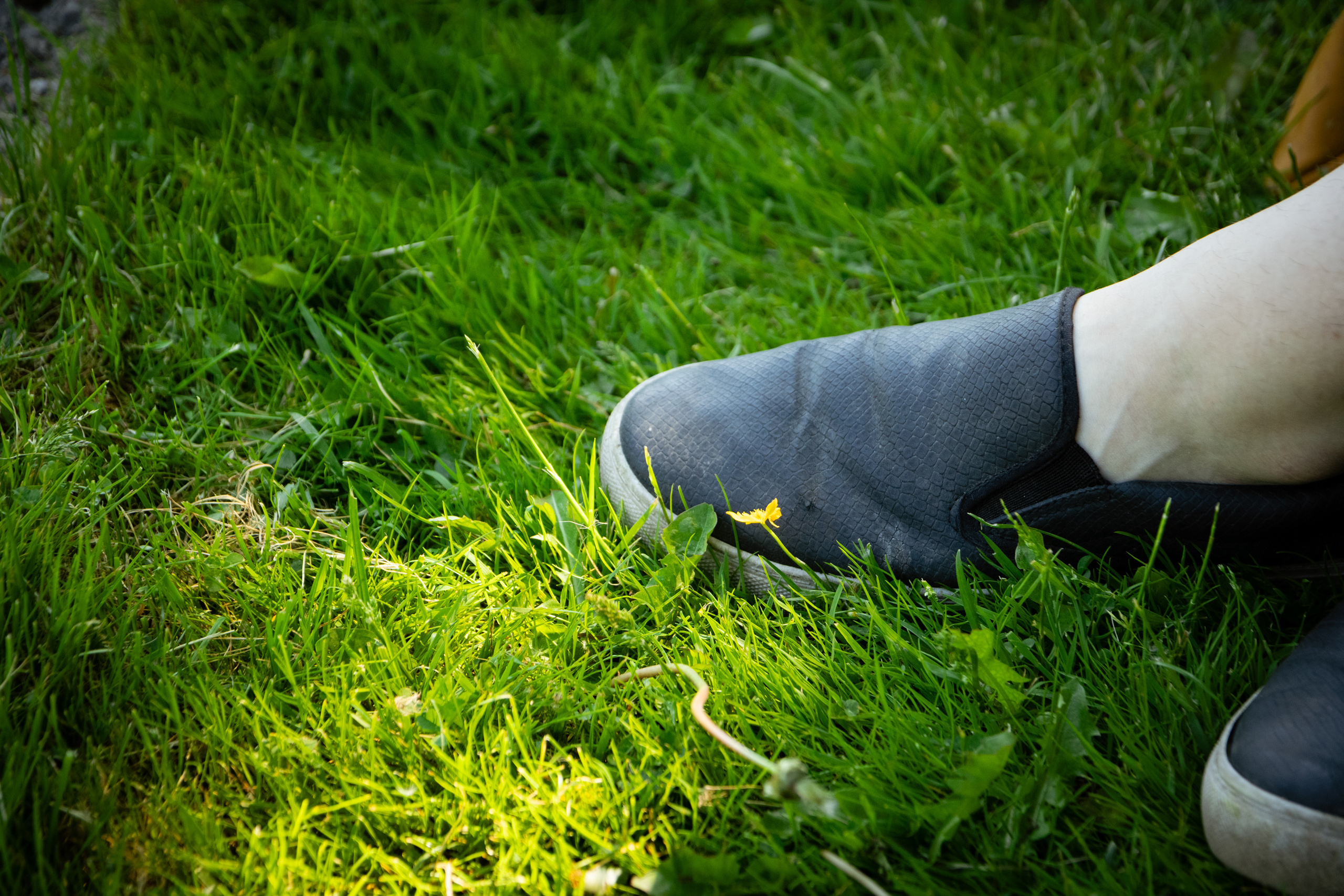 Sünnipäev (Saule). Nebula 25 — Fotod teie hingele