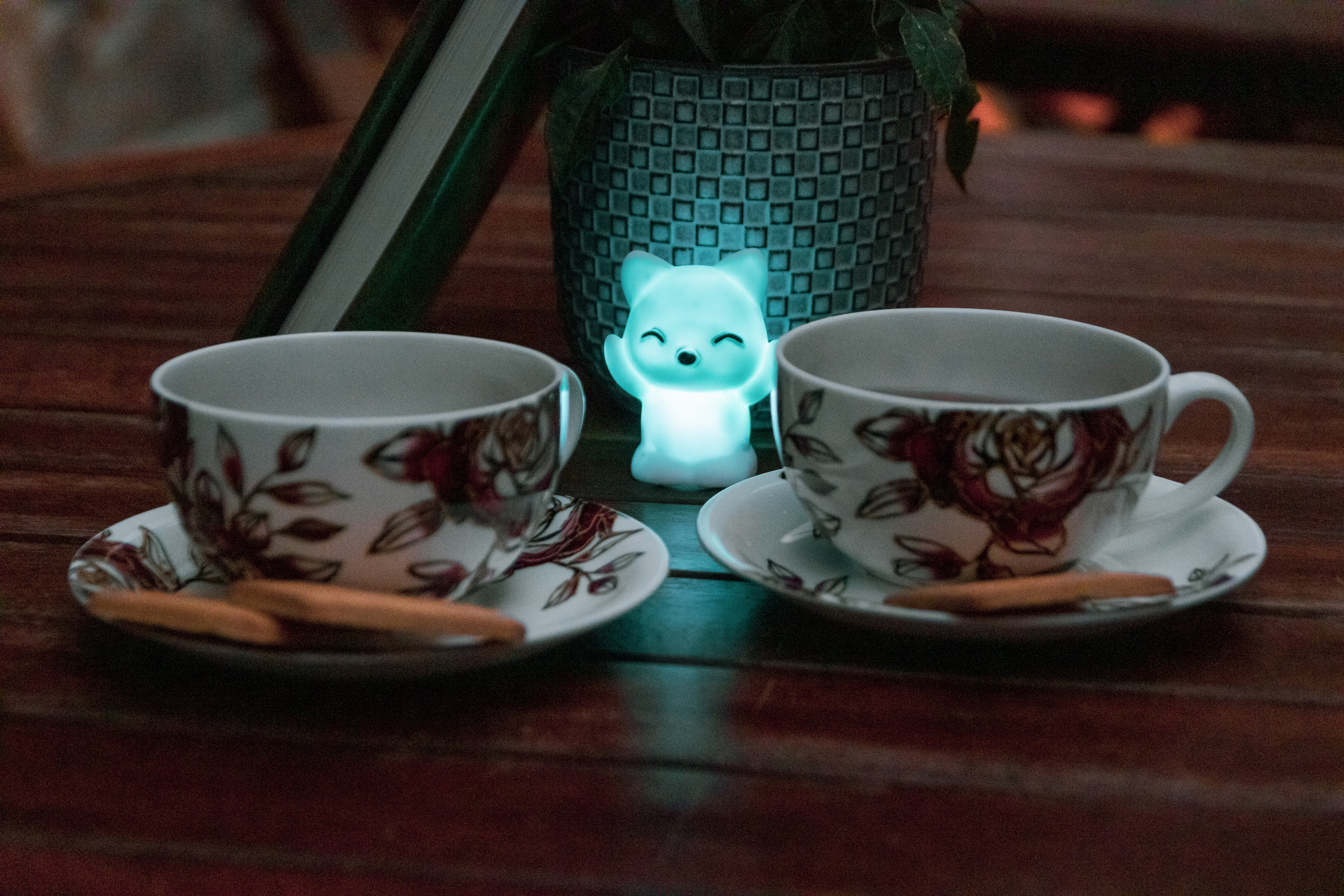 Romantika (Nika ja Pavel). Nebula 25 — Fotod teie hingele