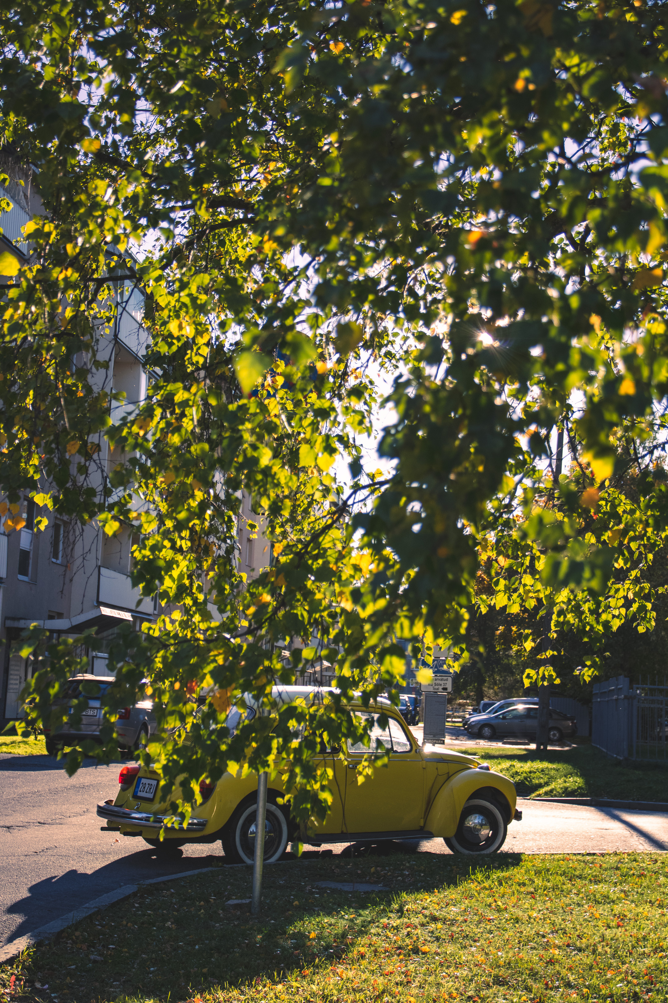 Tsoon „Stalker“ ja Volkswagen Beetle. Nebula 25 — Fotod teie hingele