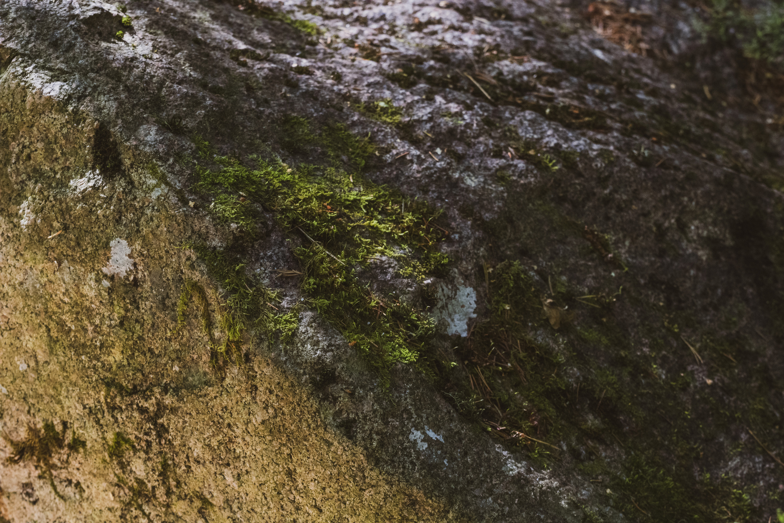 Peipsi järv (Taevaskoja). Nebula 25 — Fotod teie hingele