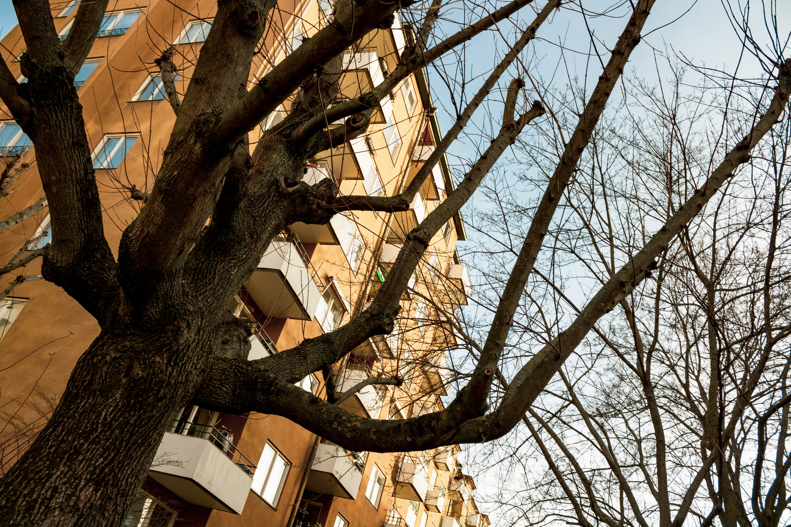 Rootsi reis. Nebula 25 — Fotod teie hingele