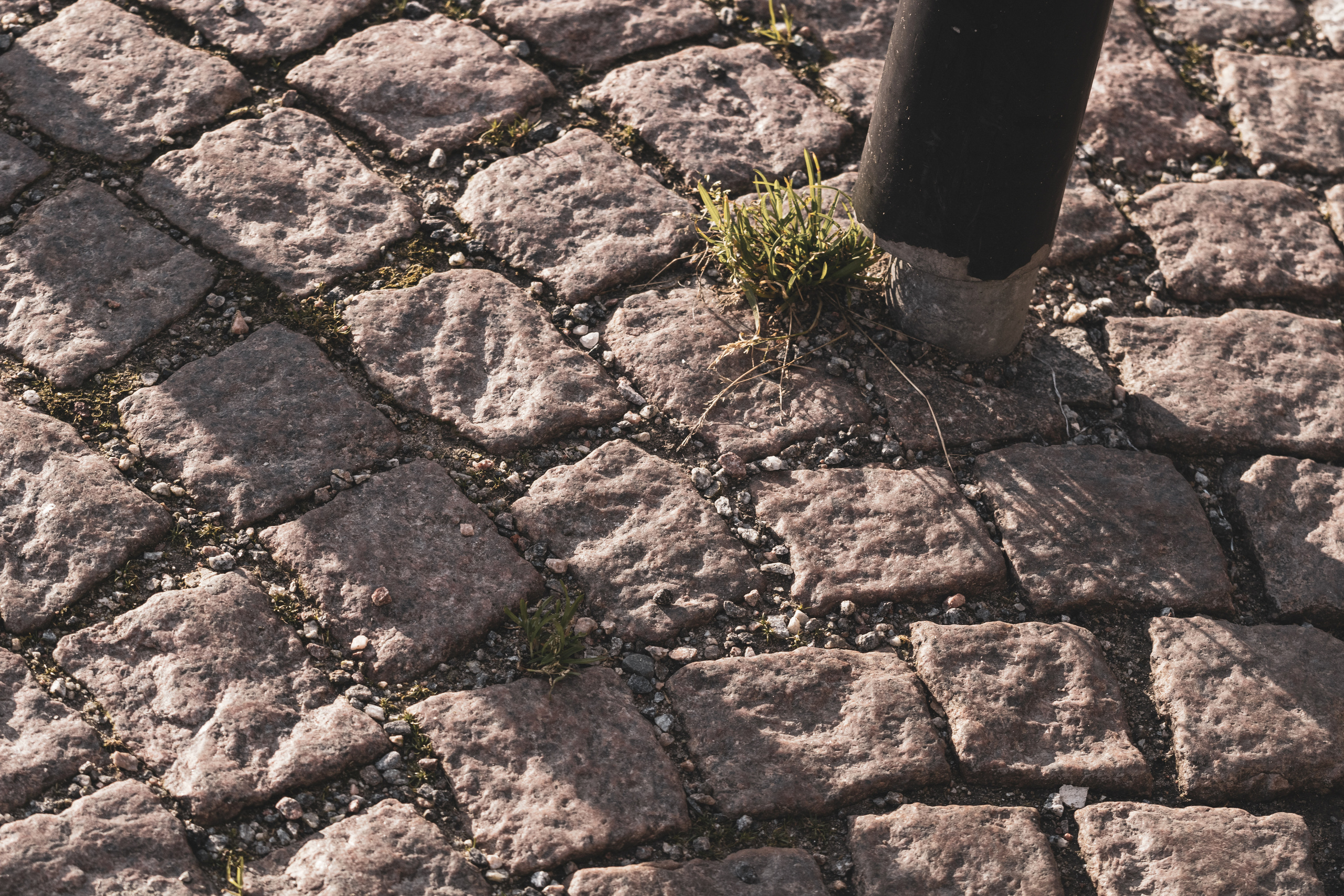 Rootsi reis. Nebula 25 — Fotod teie hingele