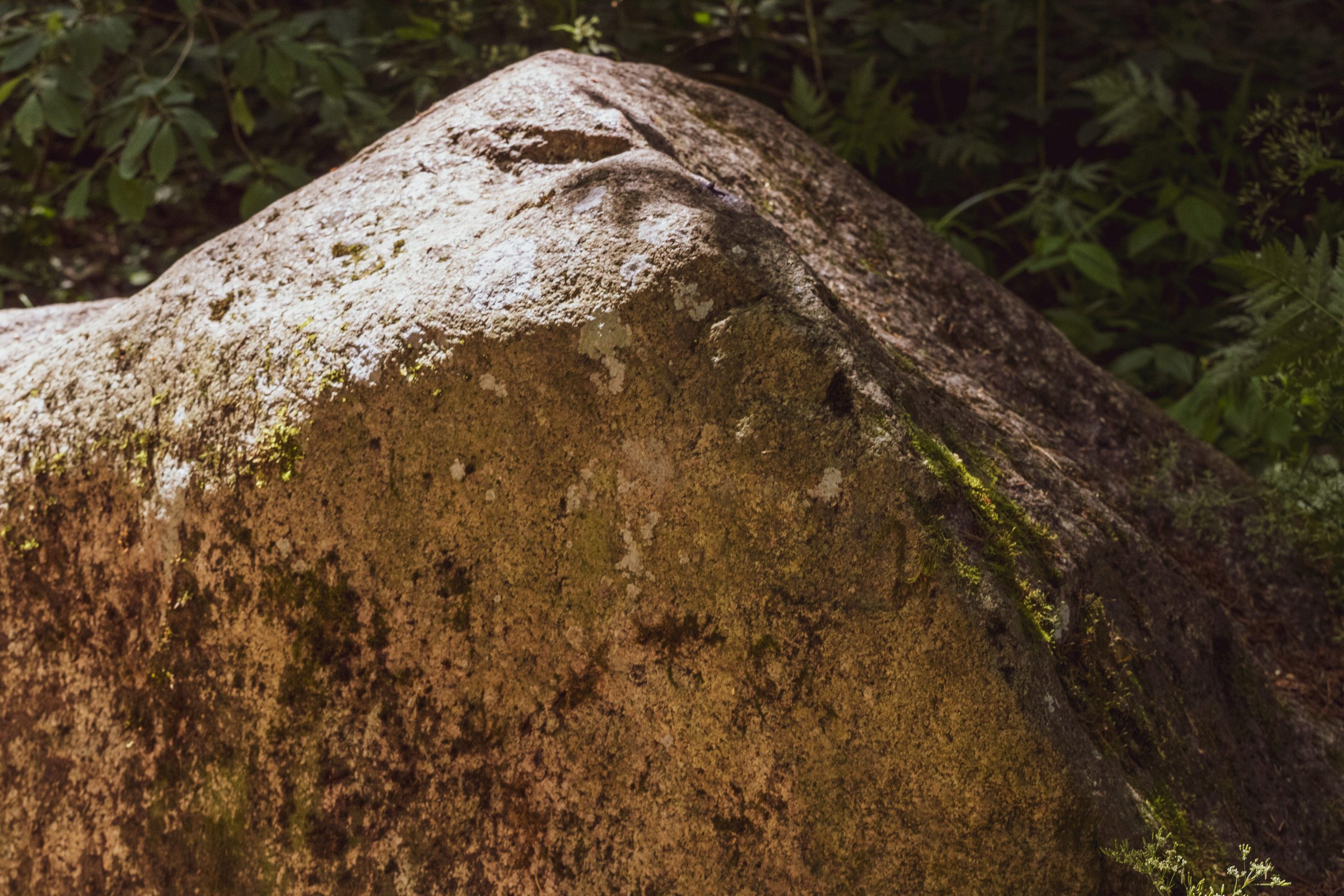 Peipsi järv (Taevaskoja). Nebula 25 — Fotod teie hingele