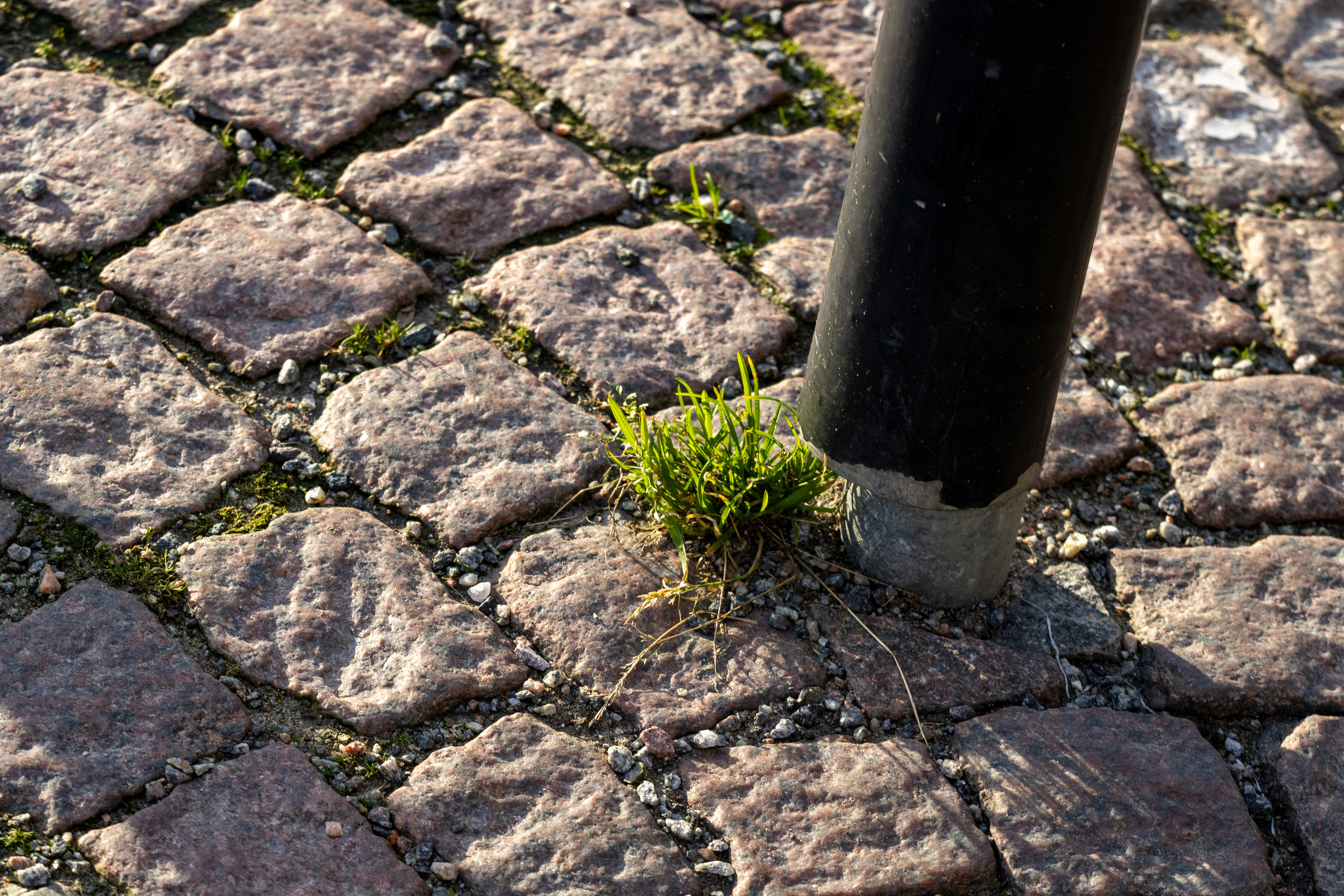 Rootsi reis. Nebula 25 — Fotod teie hingele