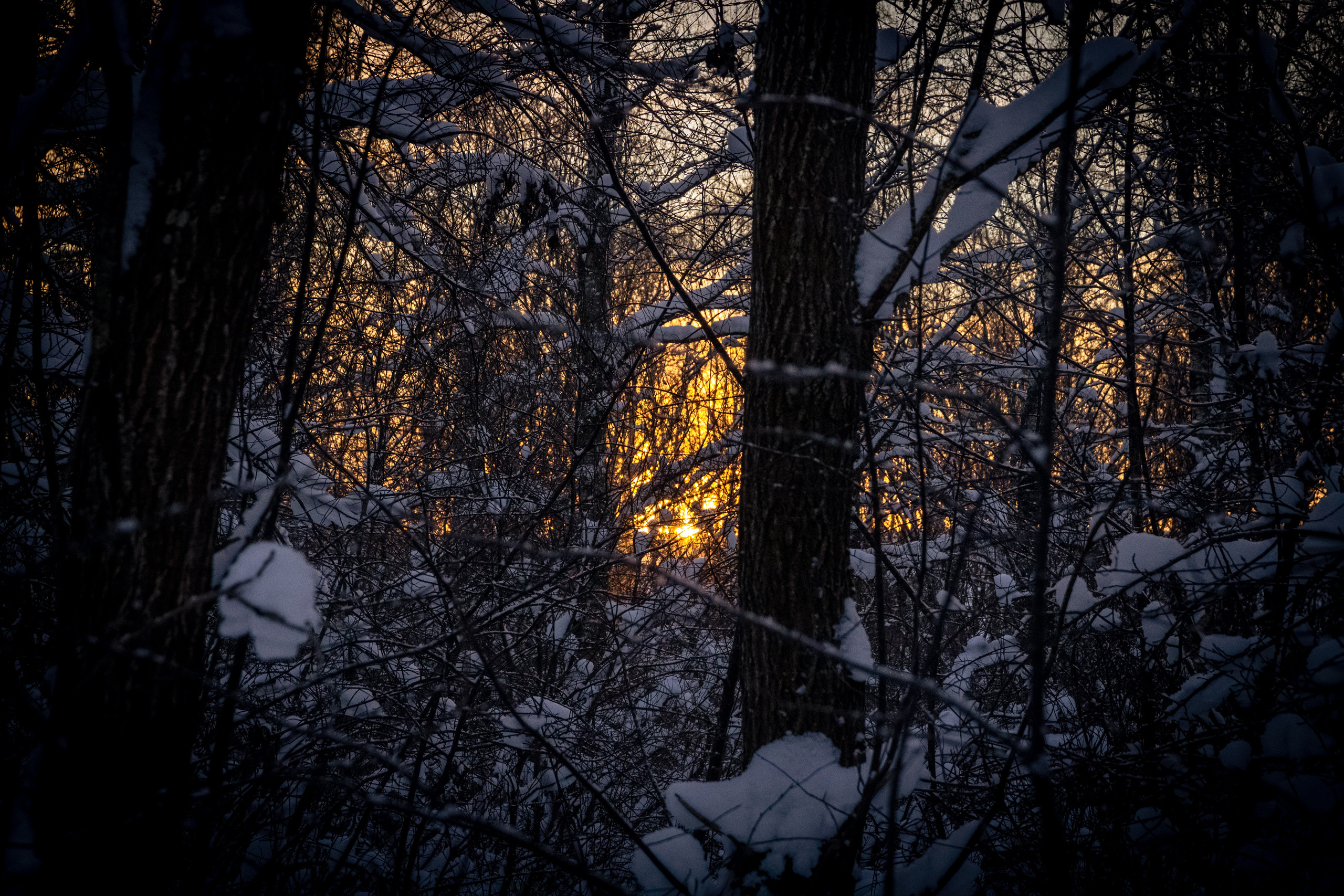 Talvine mets (2021 a.). Nebula 25 — Fotod teie hingele