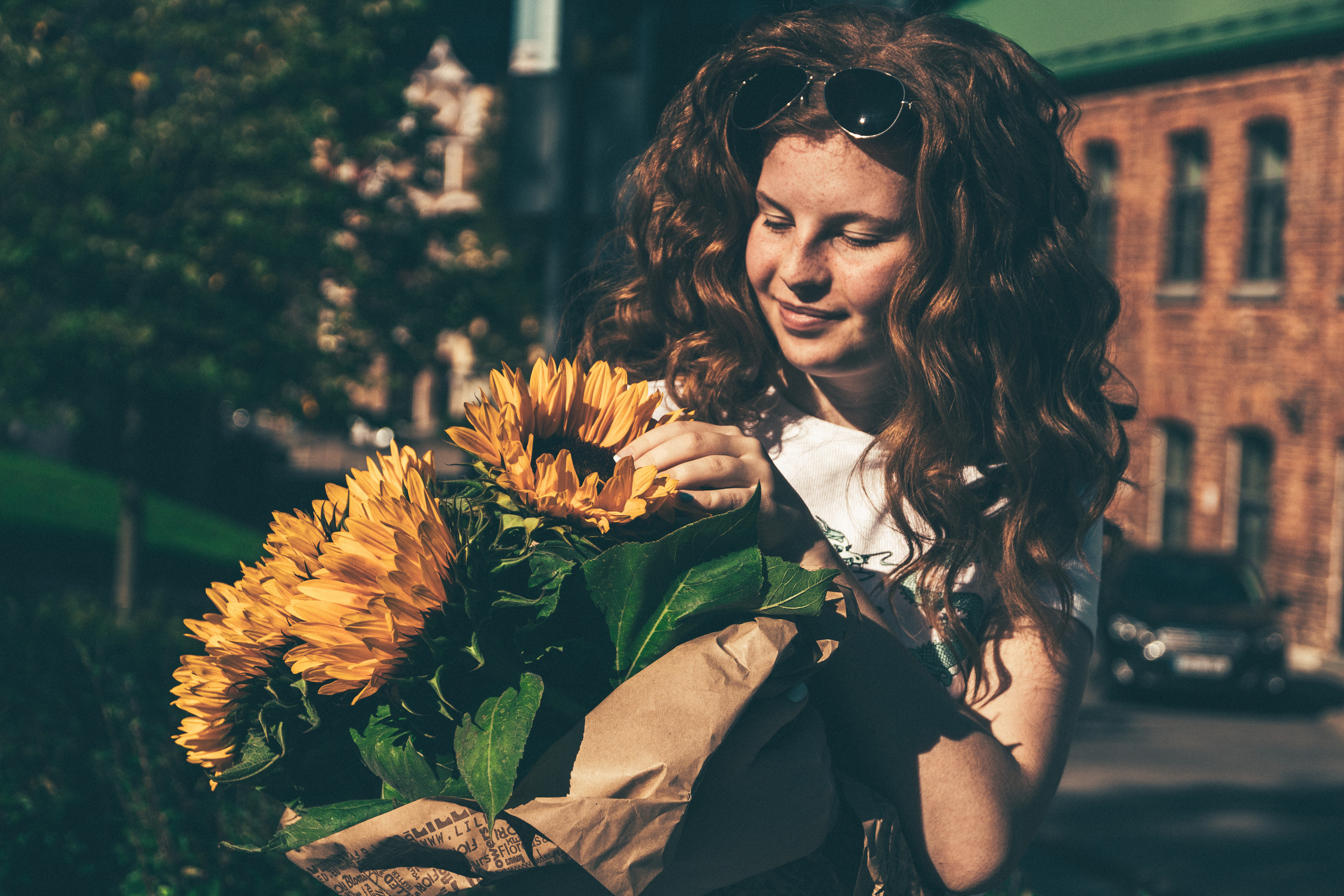 Päevalilled (Nika A.). Nebula 25 — Fotod teie hingele