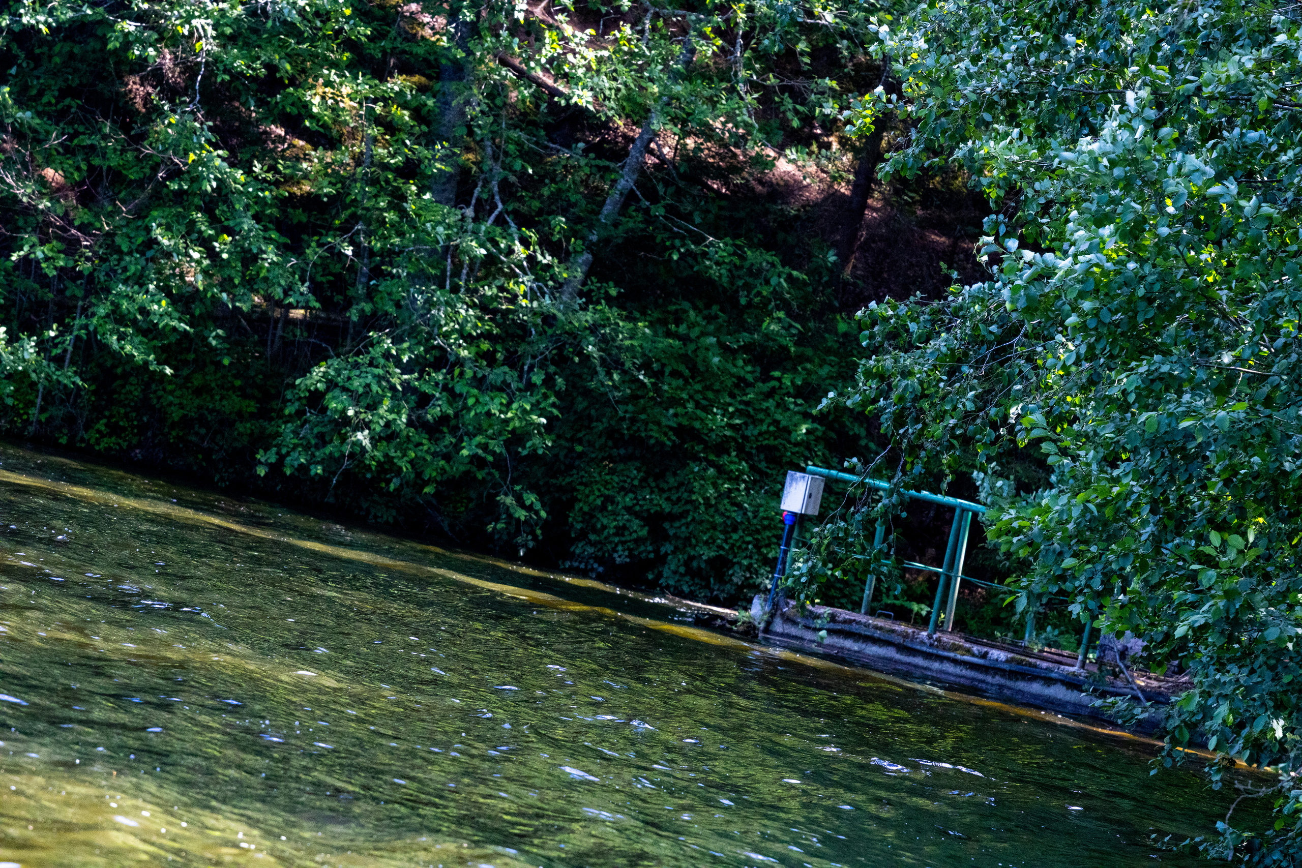 Peipsi järv (Taevaskoja). Nebula 25 — Fotod teie hingele