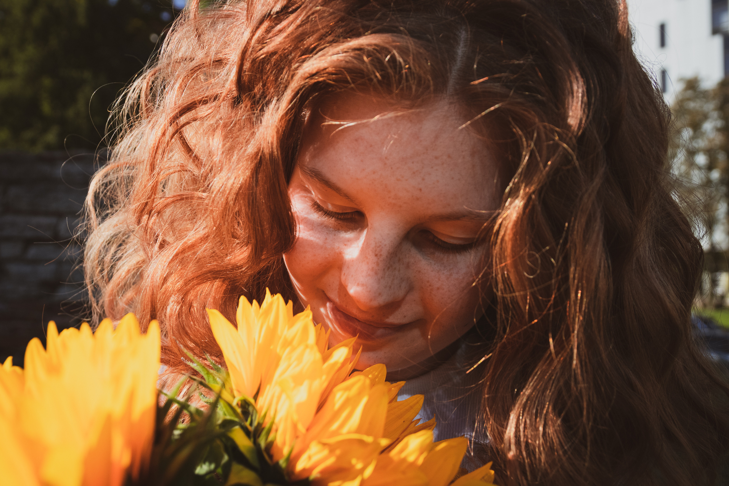 Päevalilled (Nika A.). Nebula 25 — Fotod teie hingele