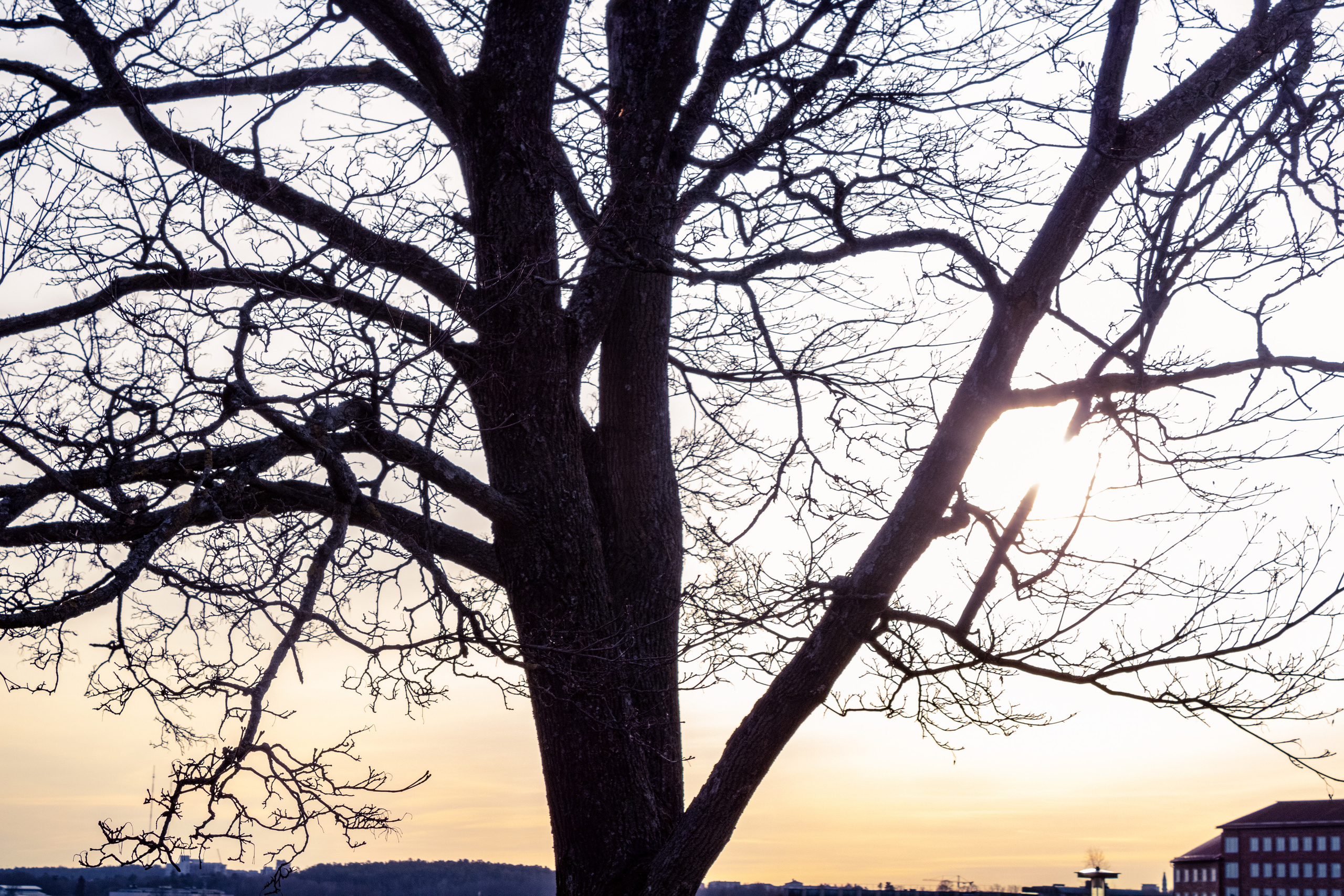 Rootsi reis. Nebula 25 — Fotod teie hingele
