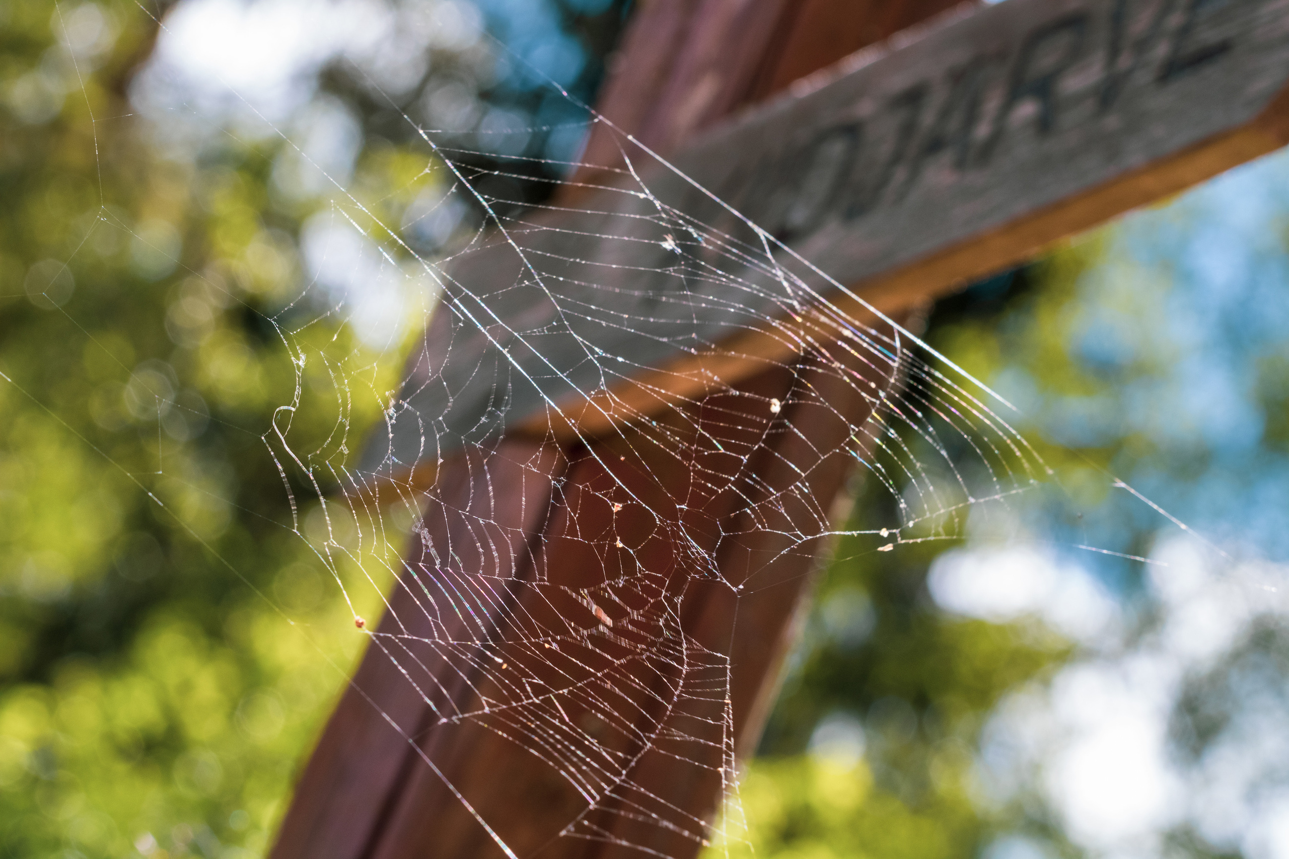 Peipsi järv (Taevaskoja). Nebula 25 — Fotod teie hingele