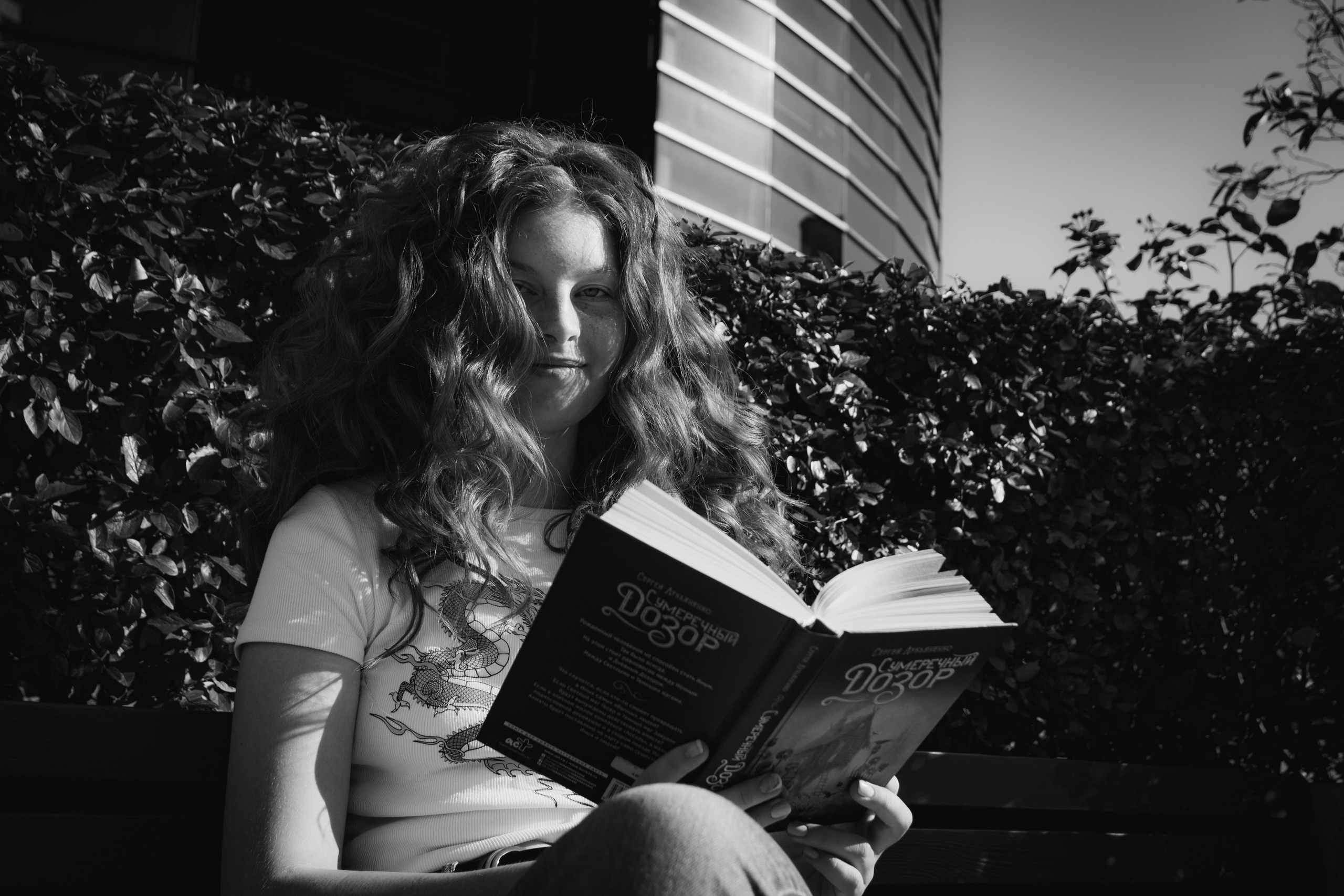 Päevalilled (Nika A.). Nebula 25 — Fotod teie hingele