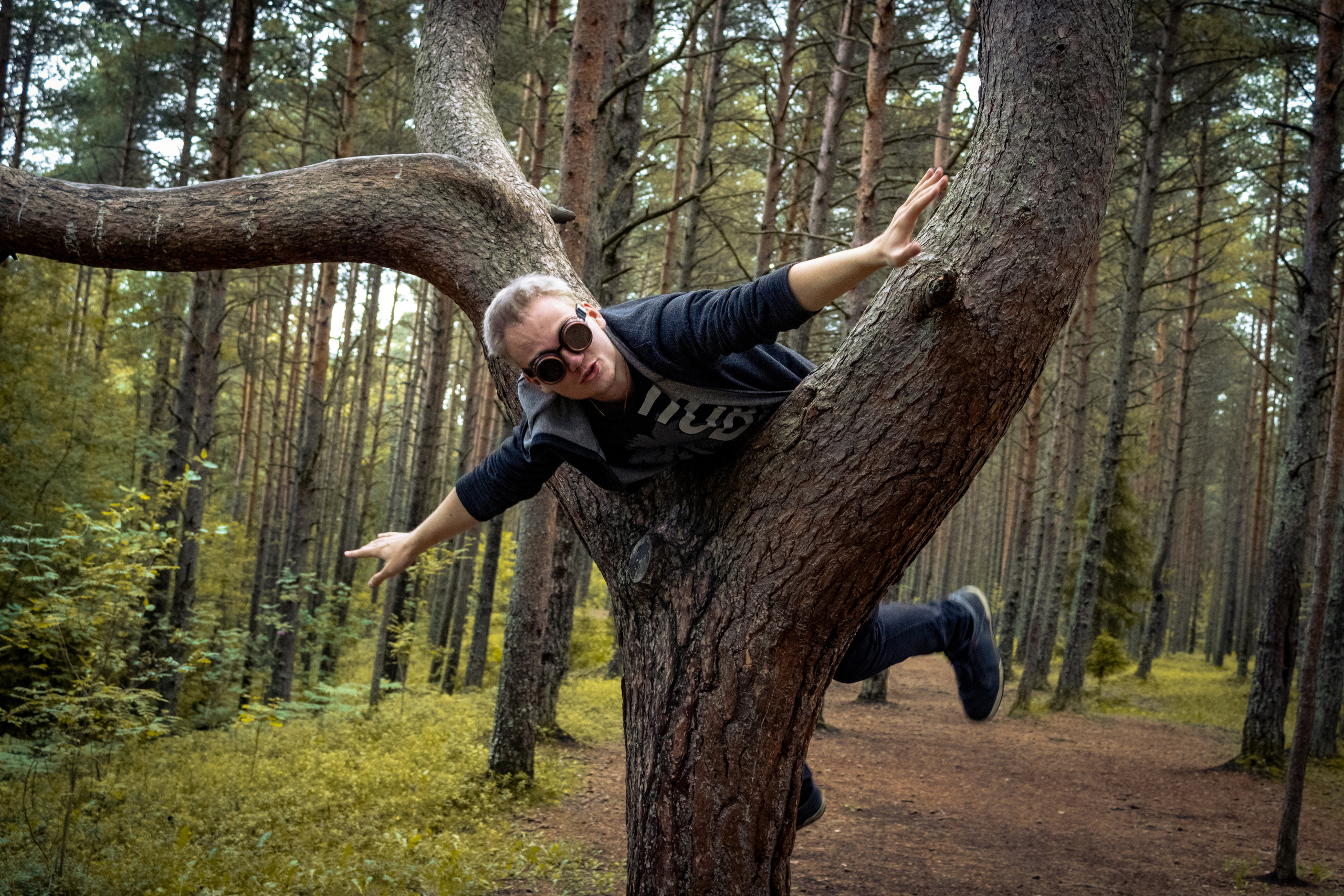 Pääsküla rabarada (Kolja J.). Nebula 25 — Fotod teie hingele