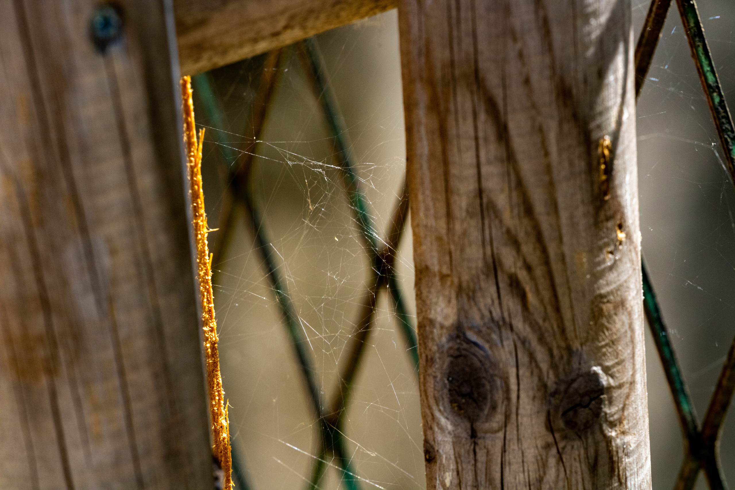 Peipsi järv (Taevaskoja). Nebula 25 — Fotod teie hingele