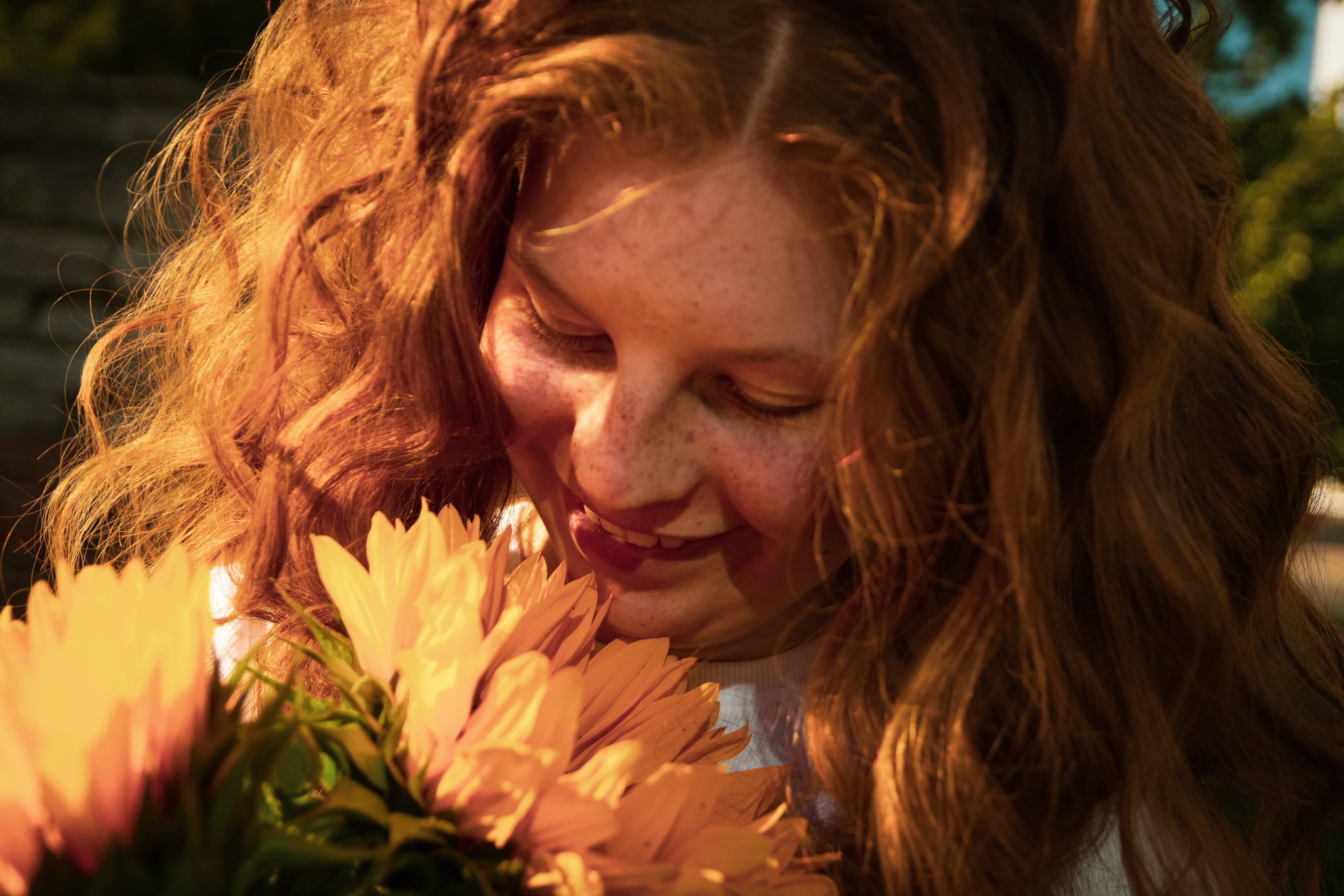 Päevalilled (Nika A.). Nebula 25 — Fotod teie hingele