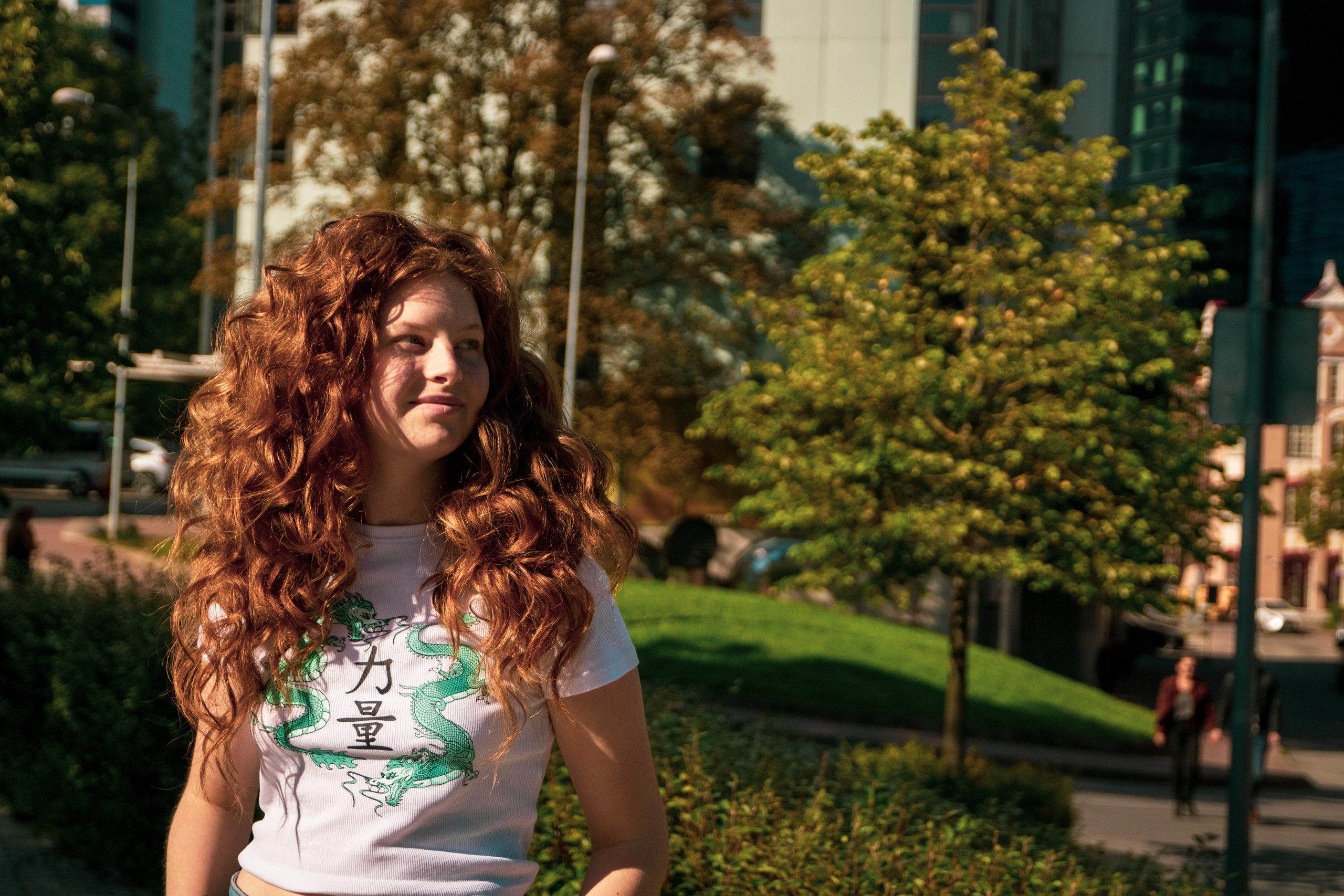 Päevalilled (Nika A.). Nebula 25 — Fotod teie hingele