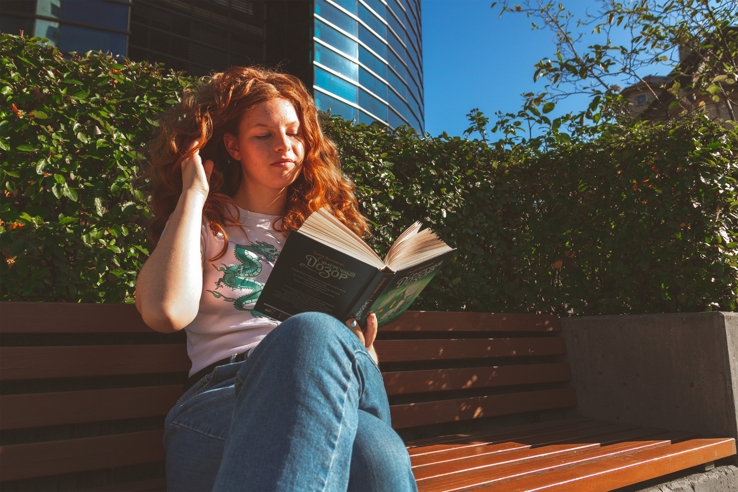 Päevalilled (Nika A.). Nebula 25 — Fotod teie hingele