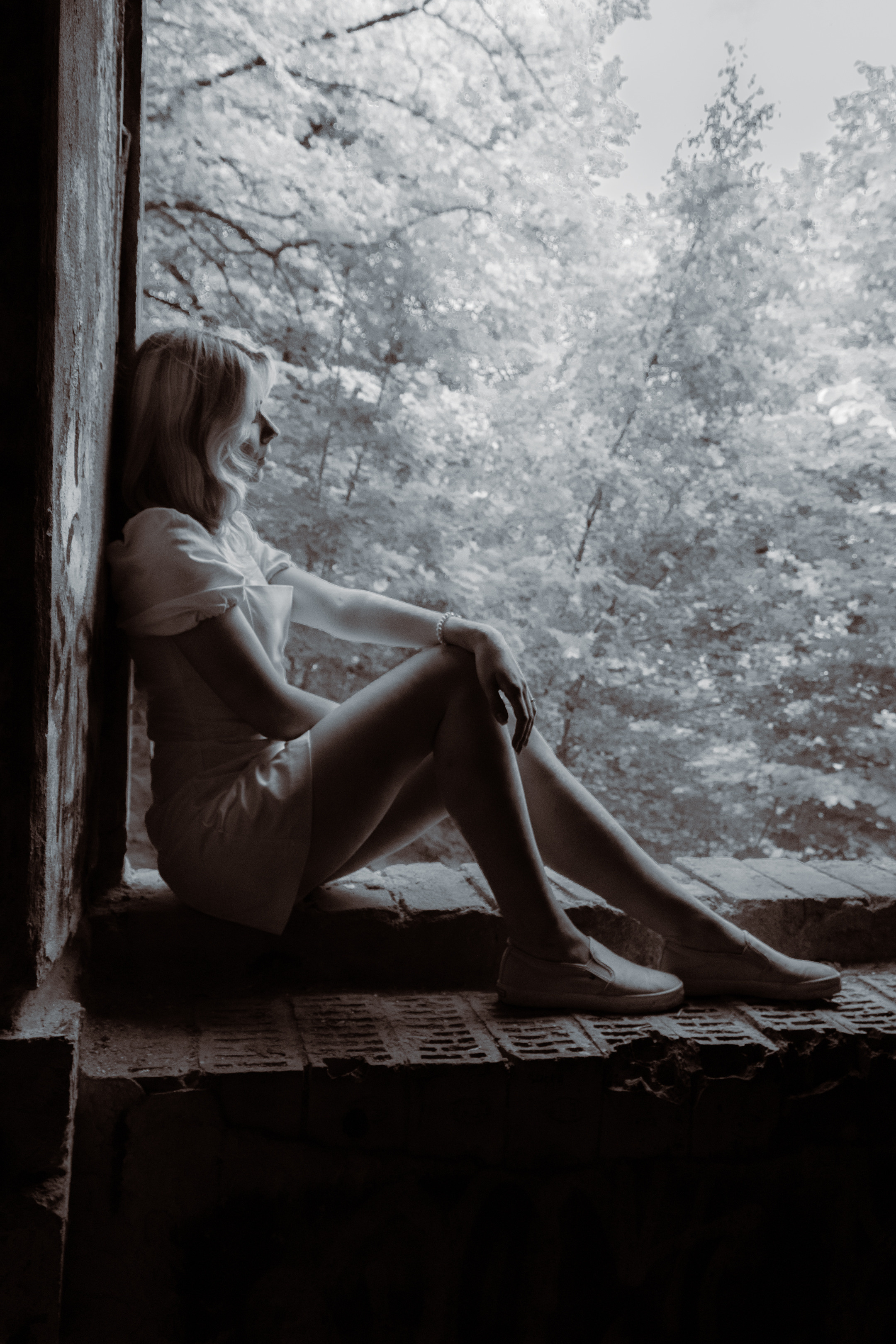 „Måneskin“ (sõpruskond). Nebula 25 — Fotod teie hingele