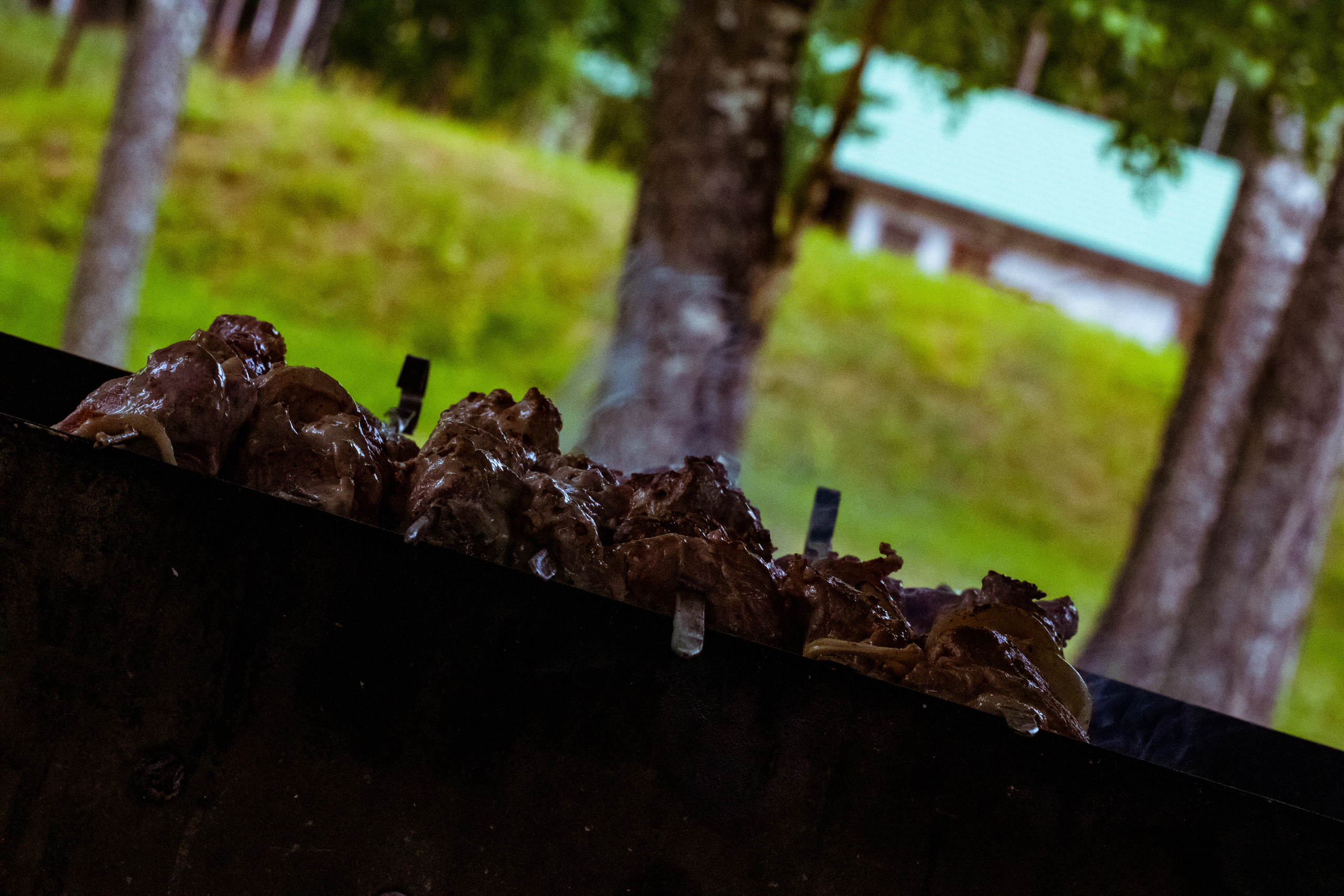 Peipsi järv (lõke). Nebula 25 — Fotod teie hingele