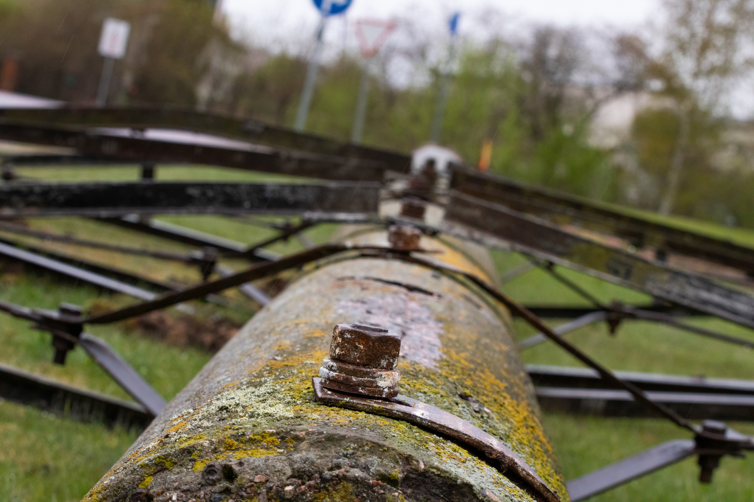 Möldre tee. Nebula 25 — Fotod teie hingele
