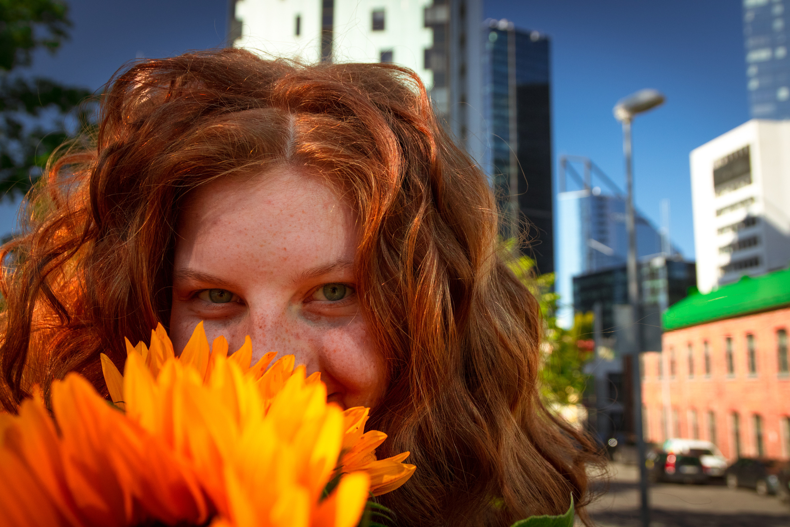 Päevalilled (Nika A.). Nebula 25 — Fotod teie hingele