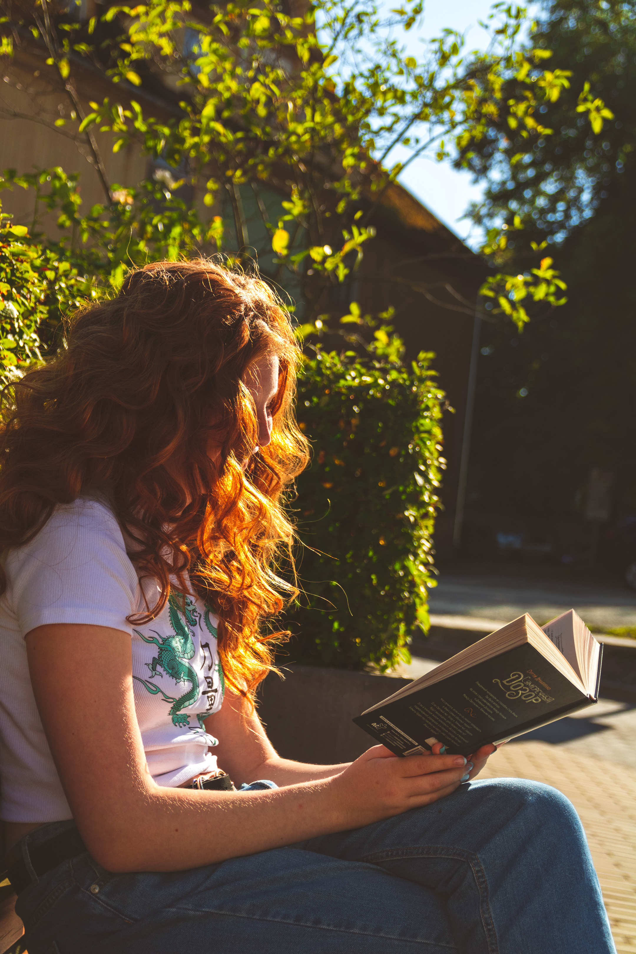 Päevalilled (Nika A.). Nebula 25 — Fotod teie hingele