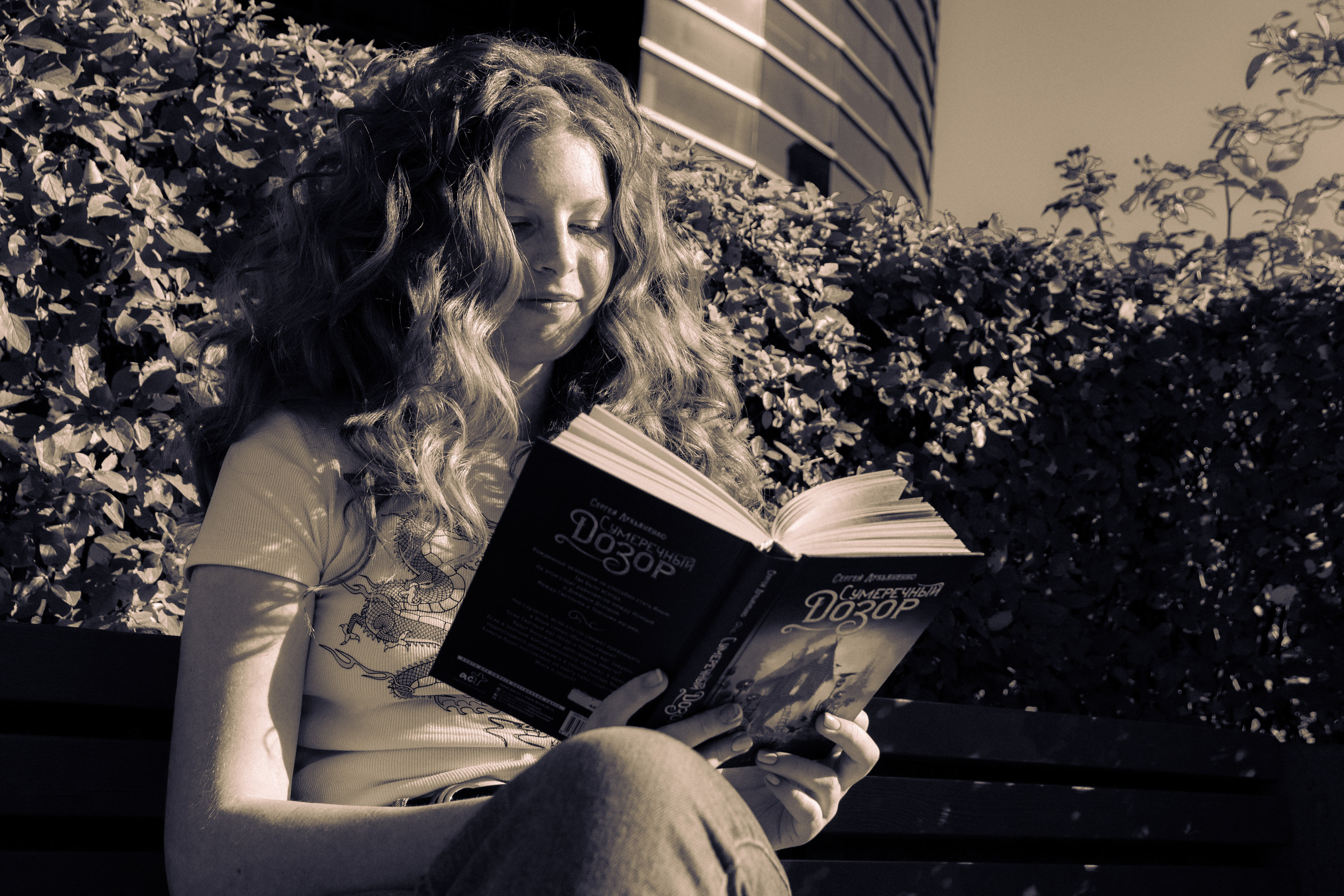 Päevalilled (Nika A.). Nebula 25 — Fotod teie hingele