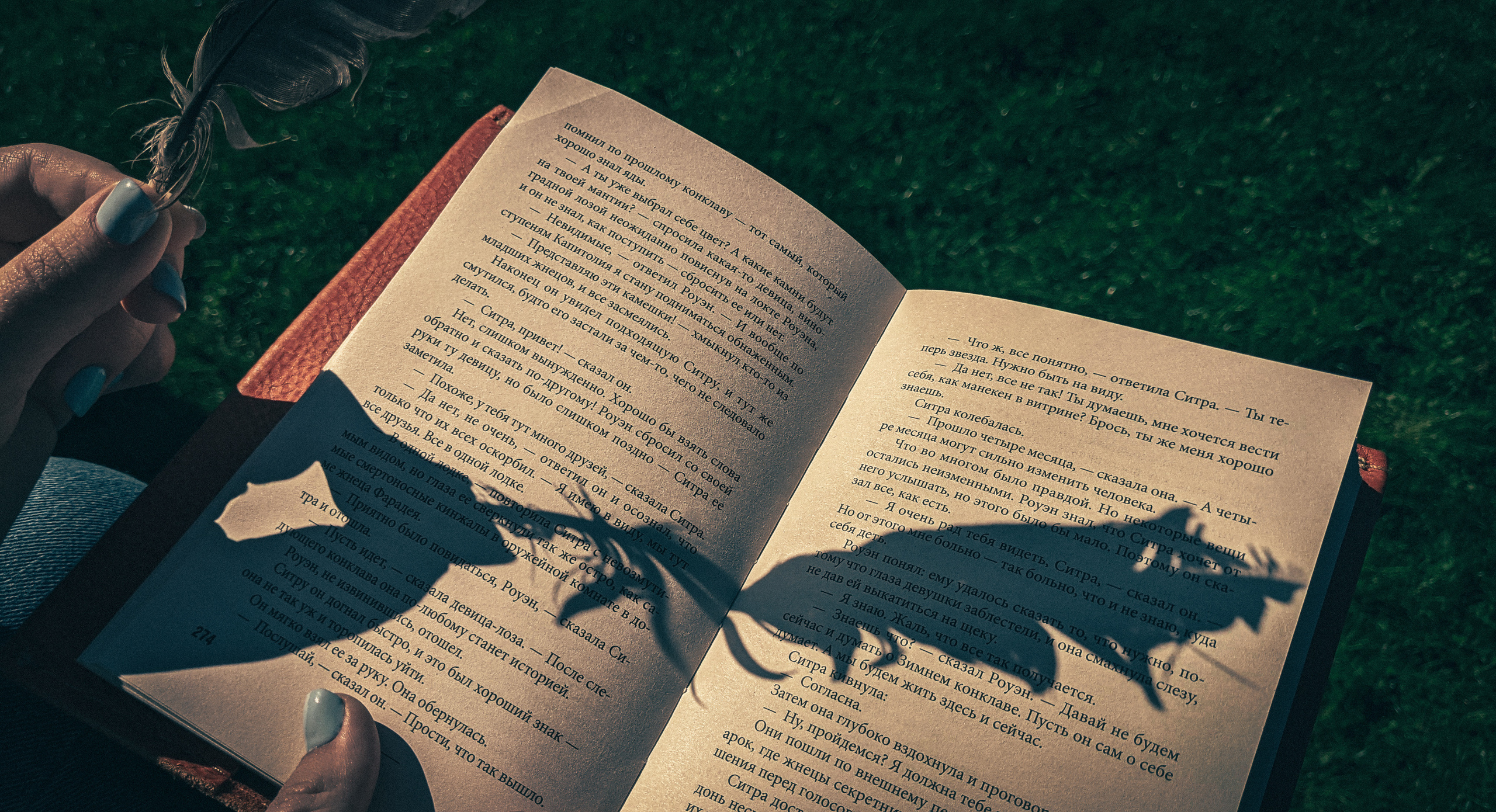 Romantika (Nika ja Pavel). Nebula 25 — Fotod teie hingele