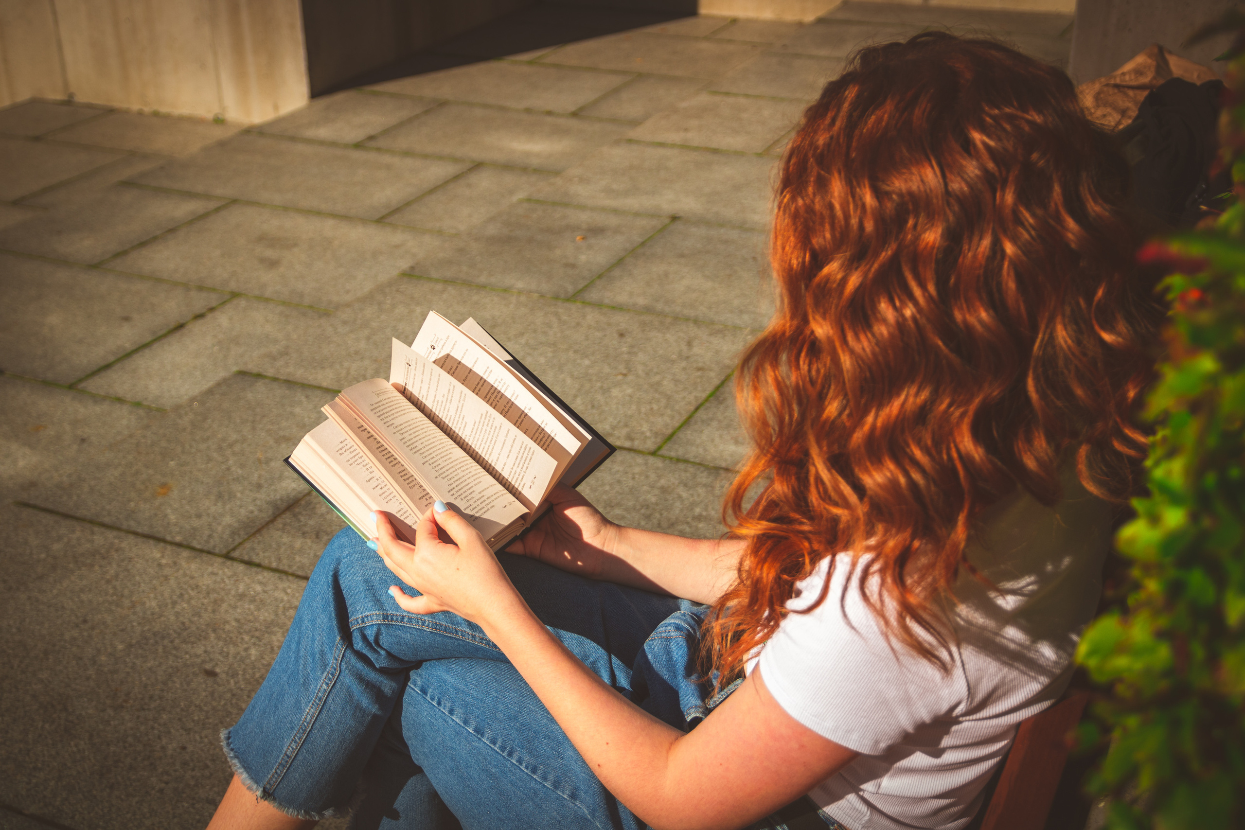 Päevalilled (Nika A.). Nebula 25 — Fotod teie hingele