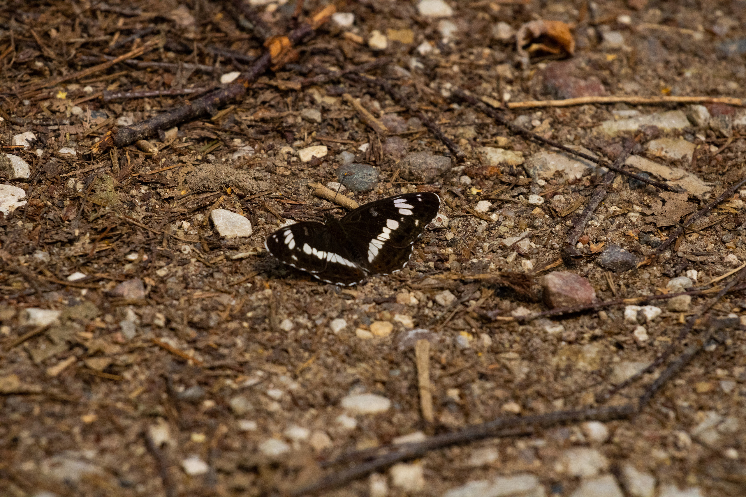 Peipsi järv (Taevaskoja). Nebula 25 — Fotod teie hingele