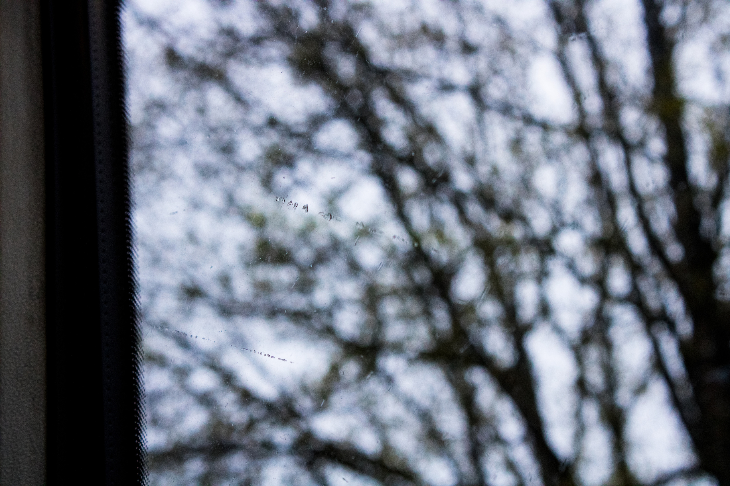 Möldre tee. Nebula 25 — Fotod teie hingele