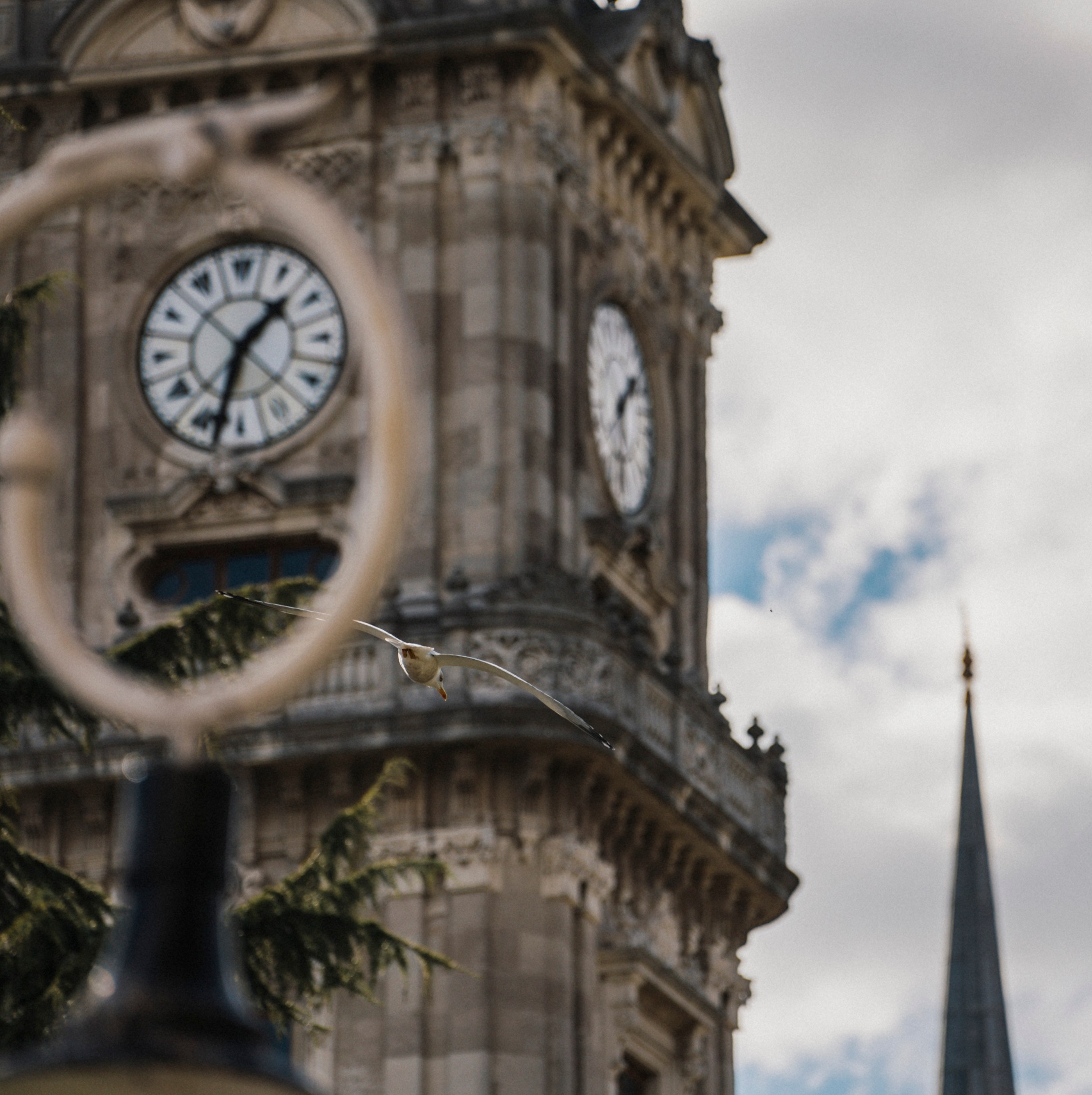 СТАМБУЛ. Стрит-фотография, полная абсурда, идиотизма и красоты