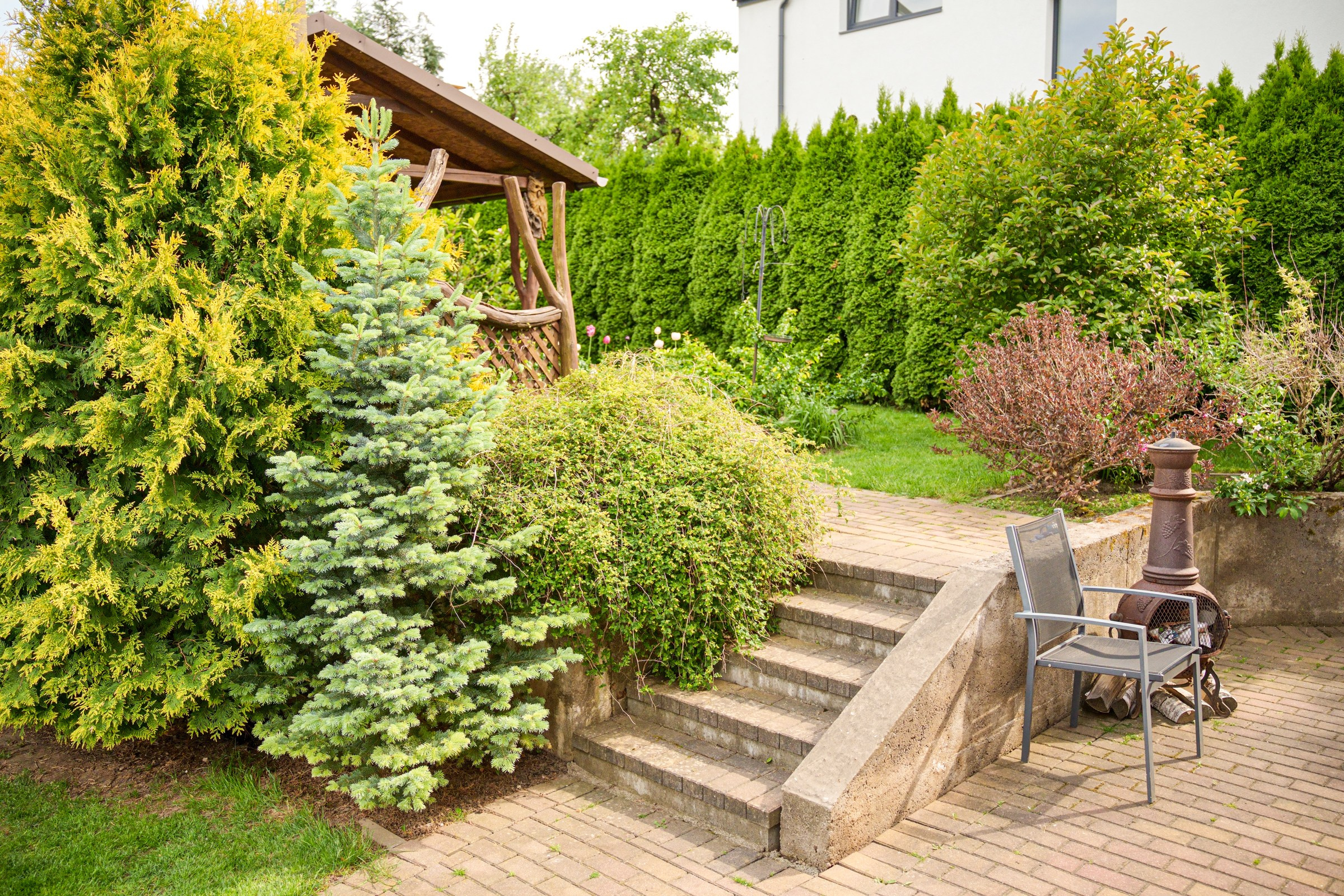 Viršupio sodų 1-oji. Elina Sapiega fotografė Vilniuje