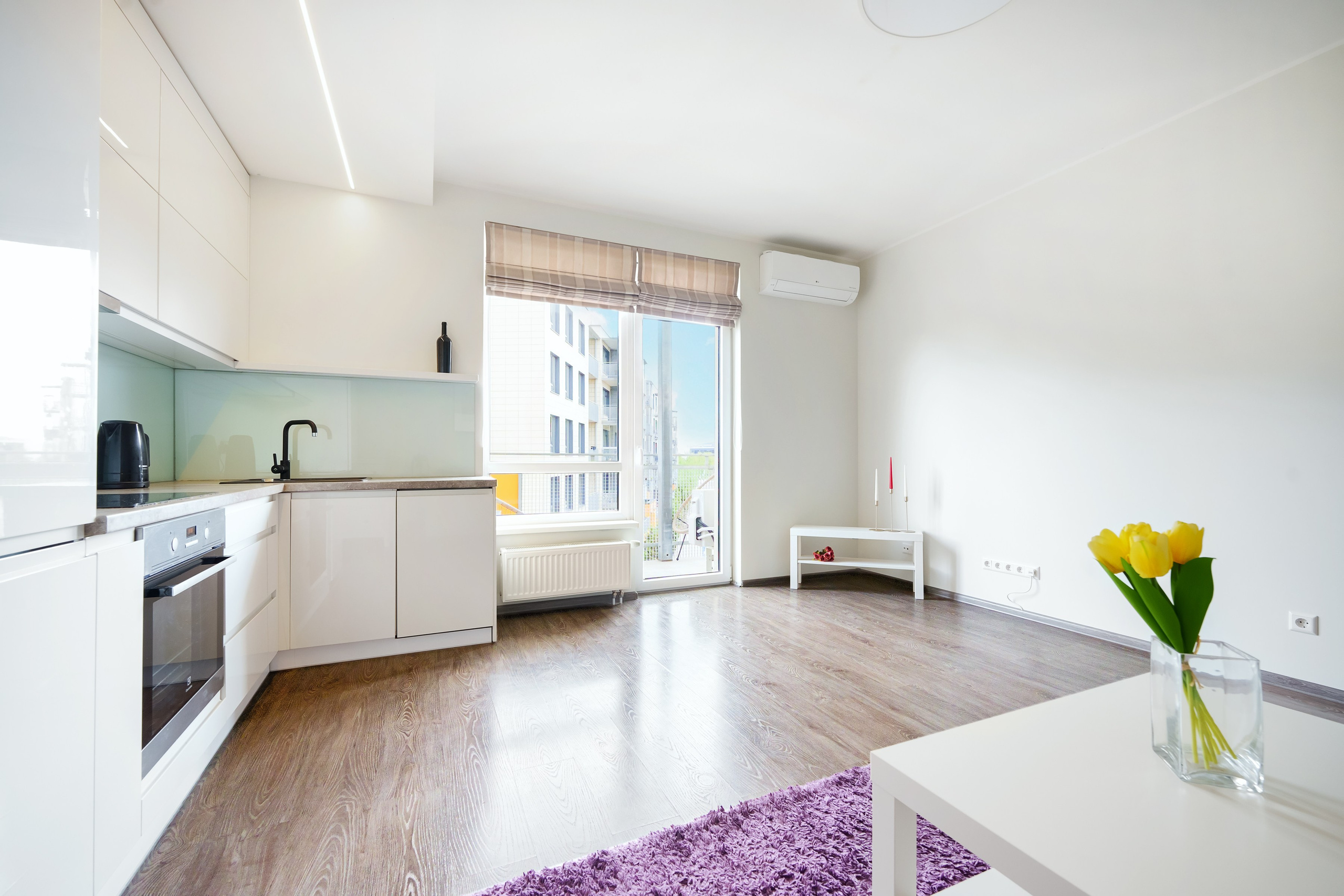 Balčikonio g. 7. Elina Sapiega fotografė Vilniuje