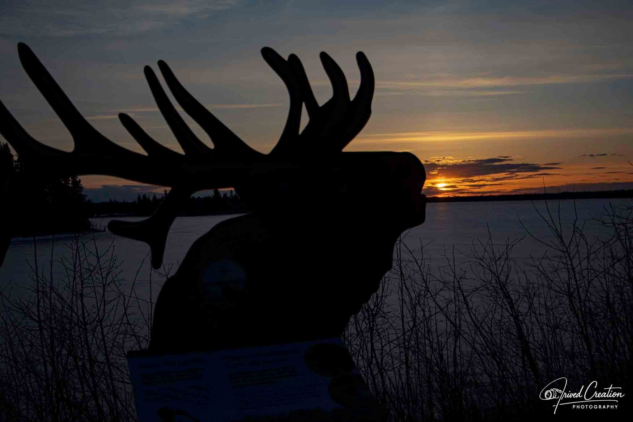 Landscape & Nature. Prived Creation